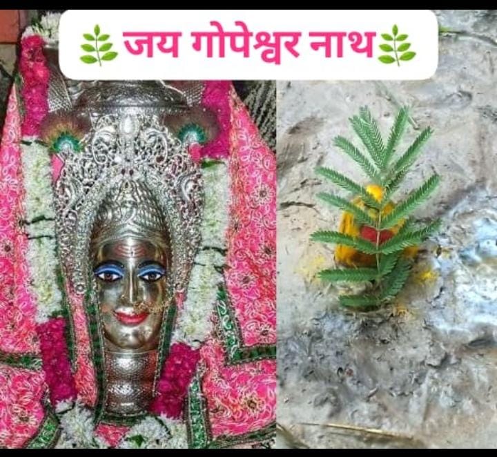 दिव्य एवं भव्य श्री गोपेश्वर नाथ मंदिर का निर्माण 