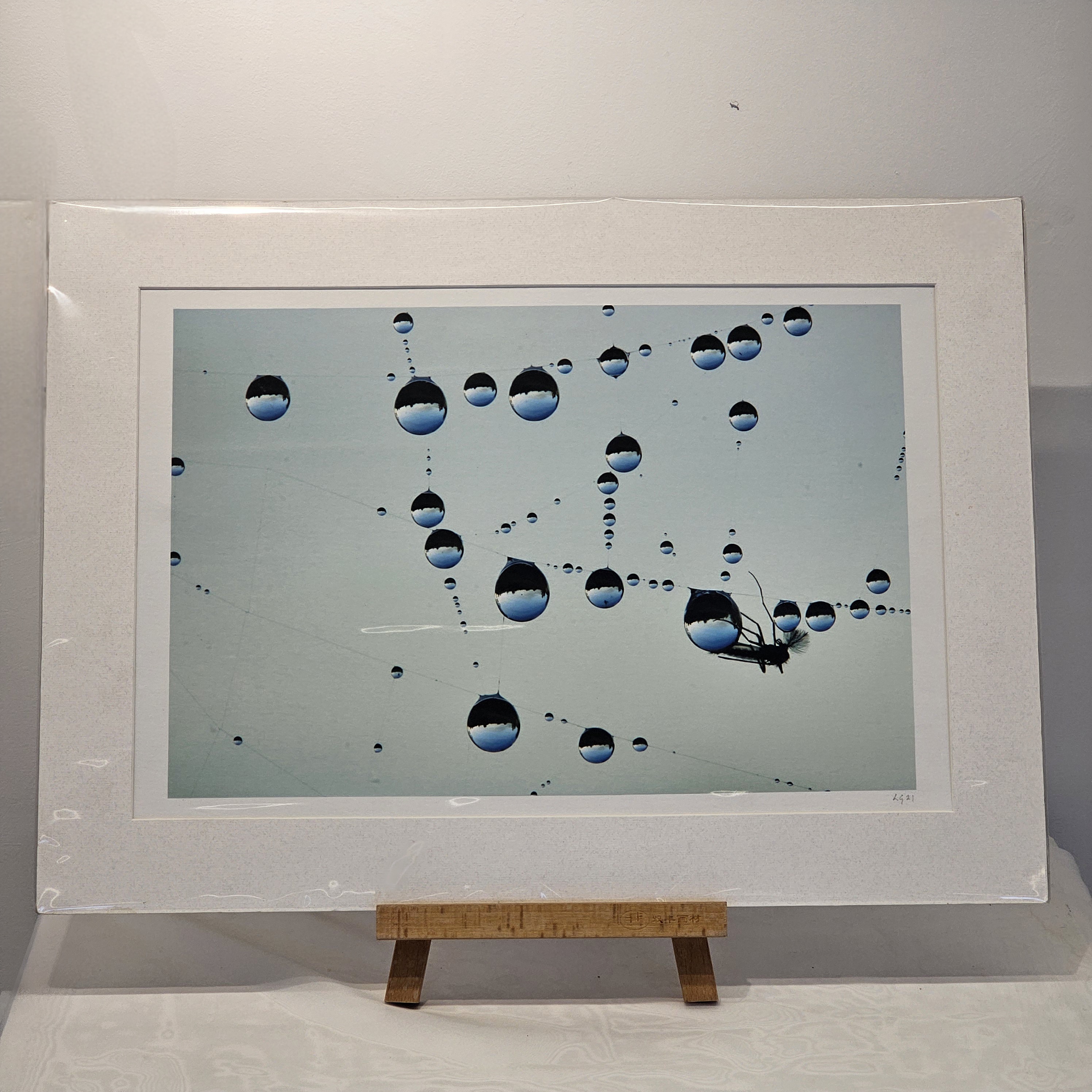 Lucy Goodier - Symmetry