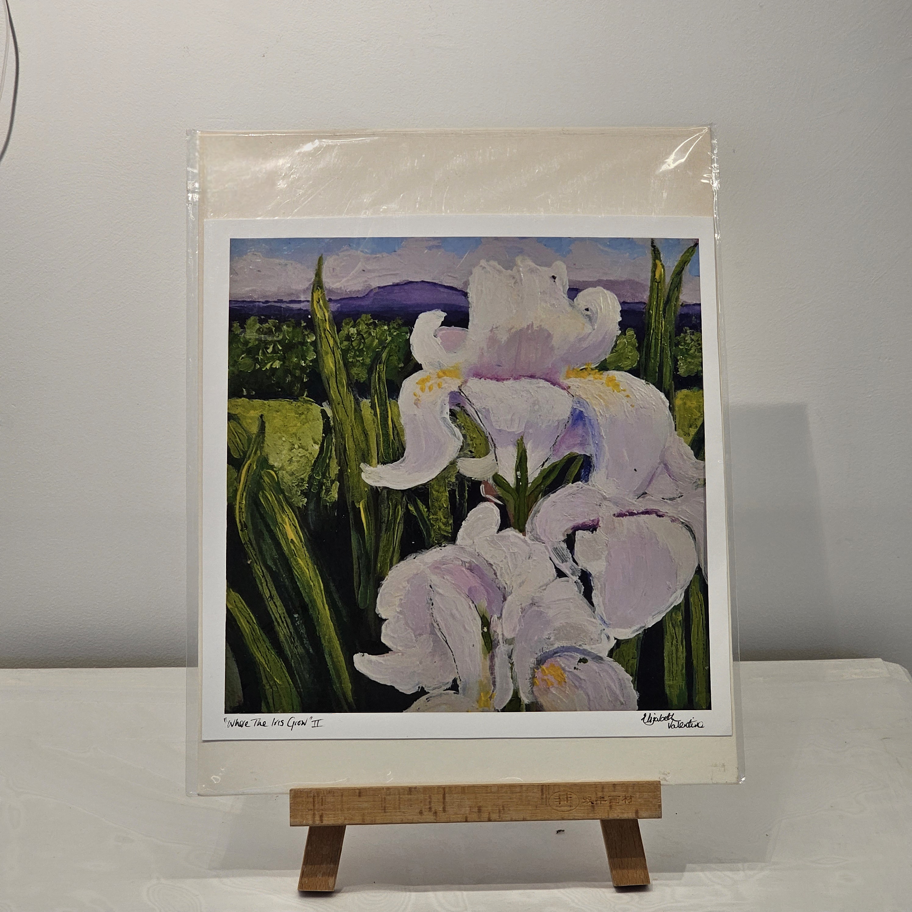 Elizabeth Valentine - Where The Iris Grow II