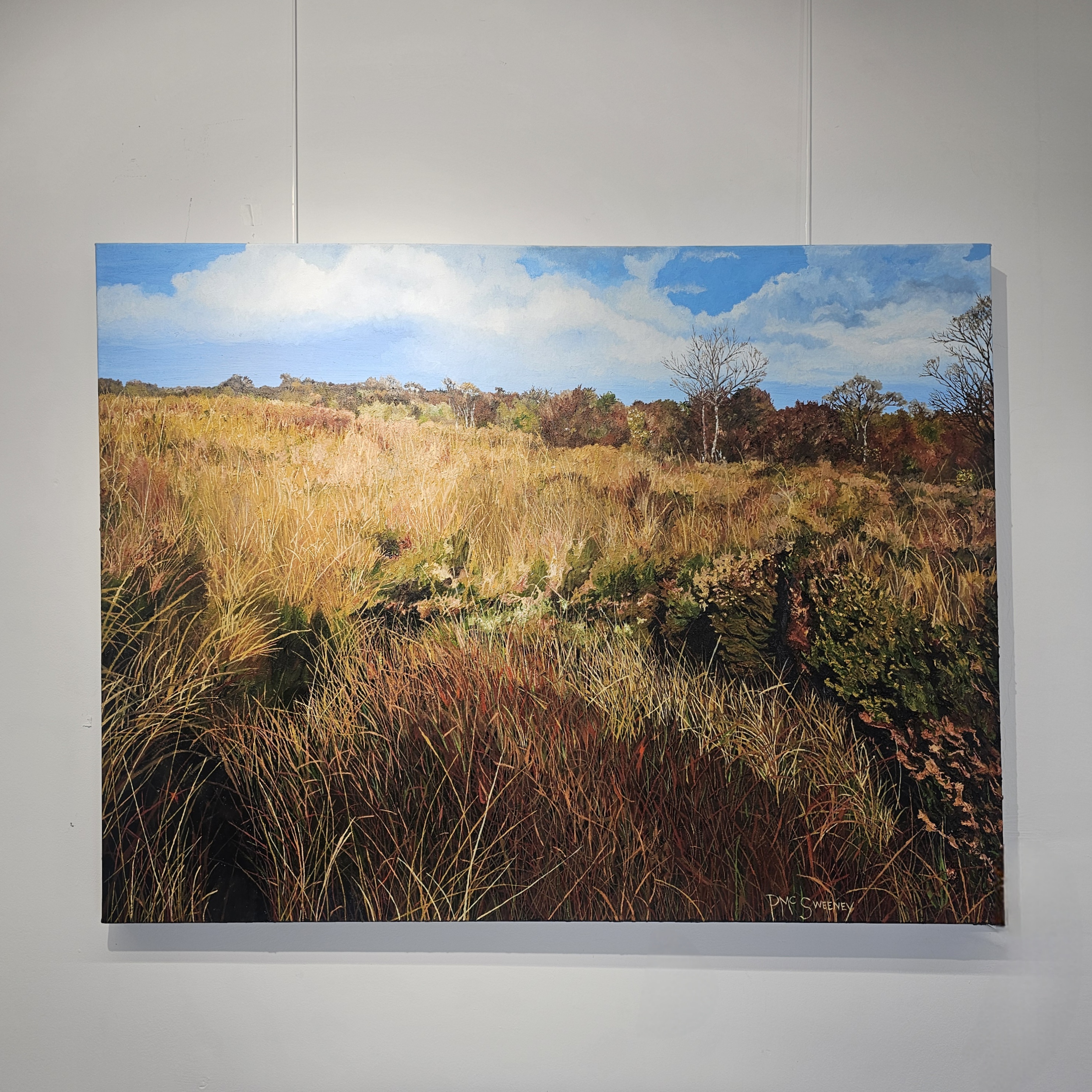 Peter McSweeney - Cloongreaghan Bog