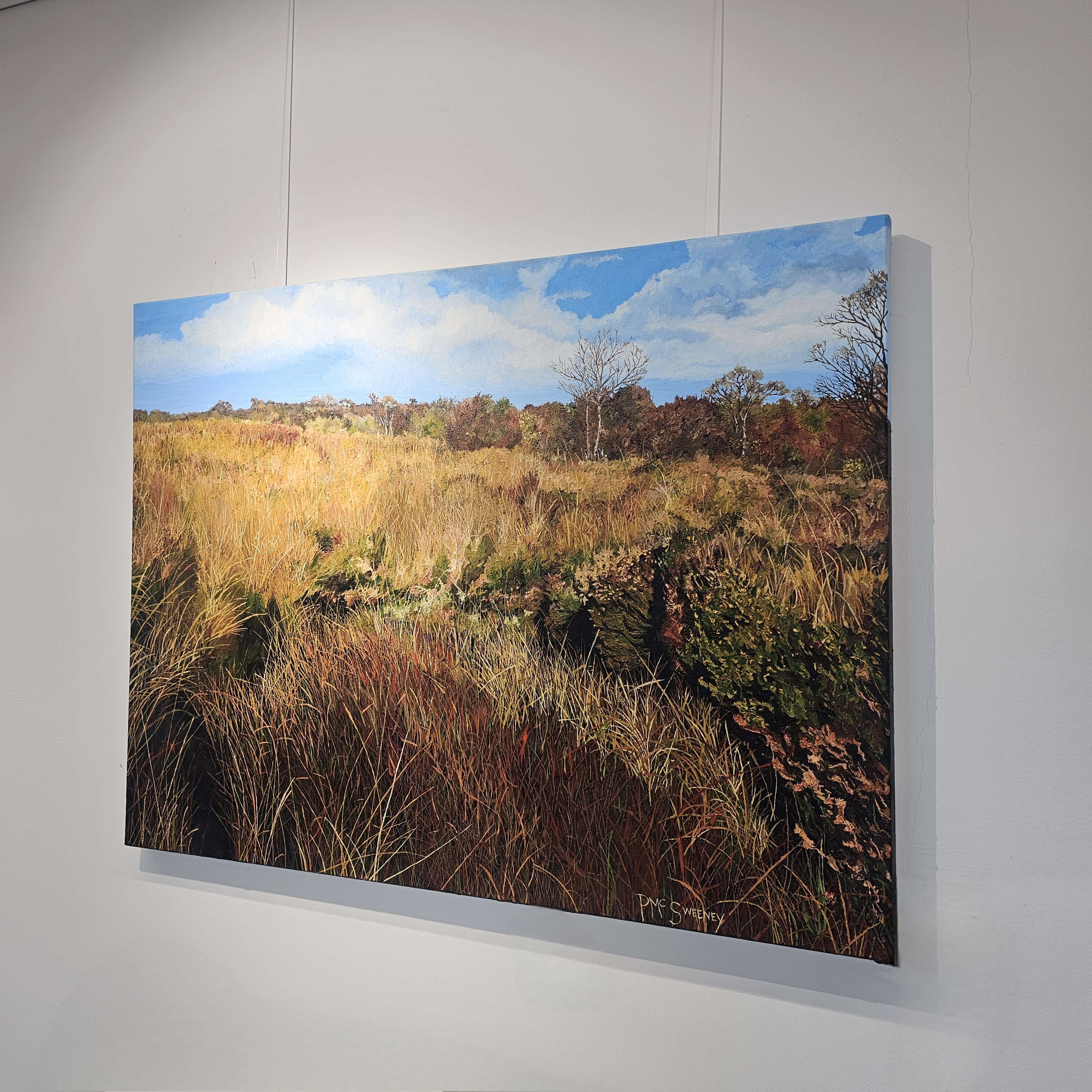 Peter McSweeney - Cloongreaghan Bog