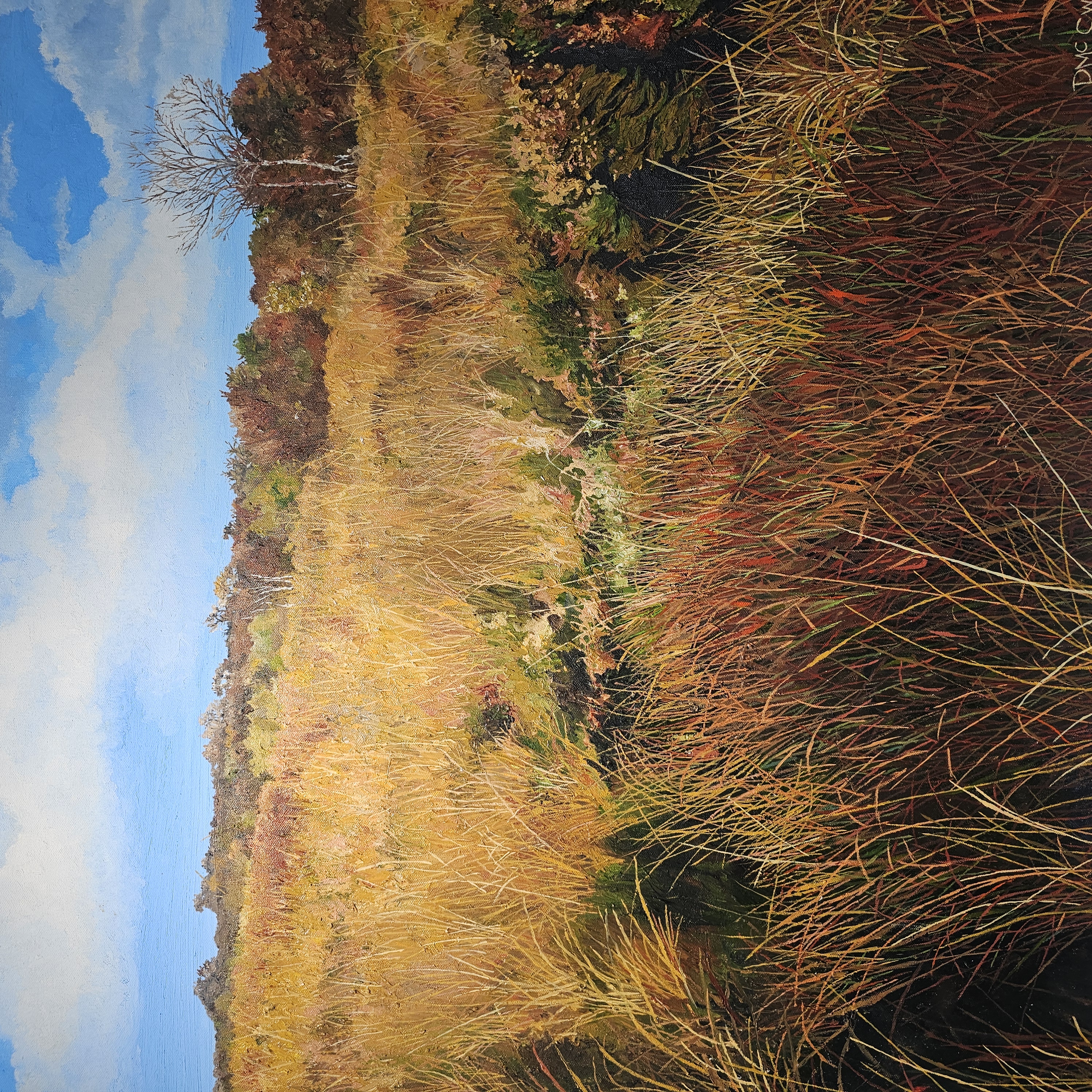 Peter McSweeney - Cloongreaghan Bog