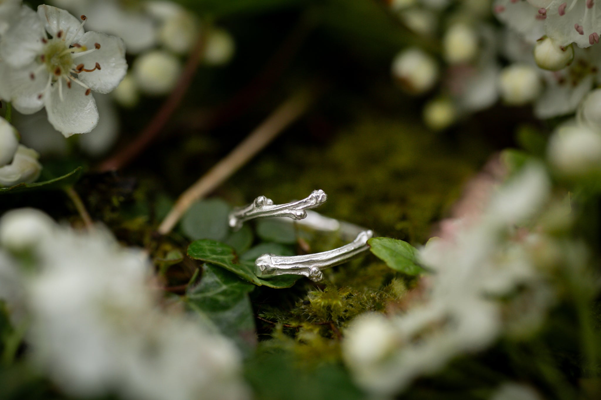 Ruby Robin - Hawthorne branch ring