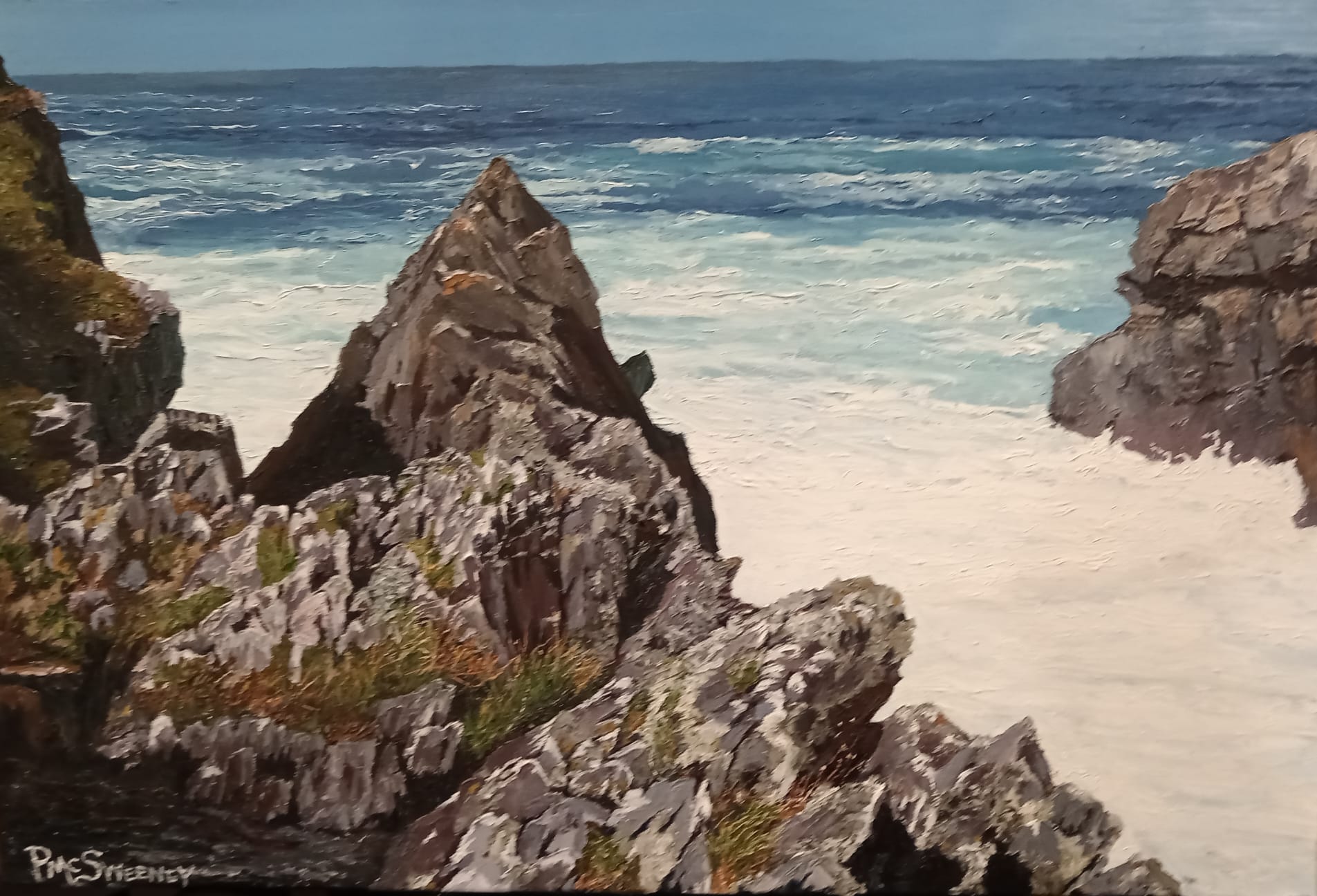 Peter McSweeney - Sea Thrift