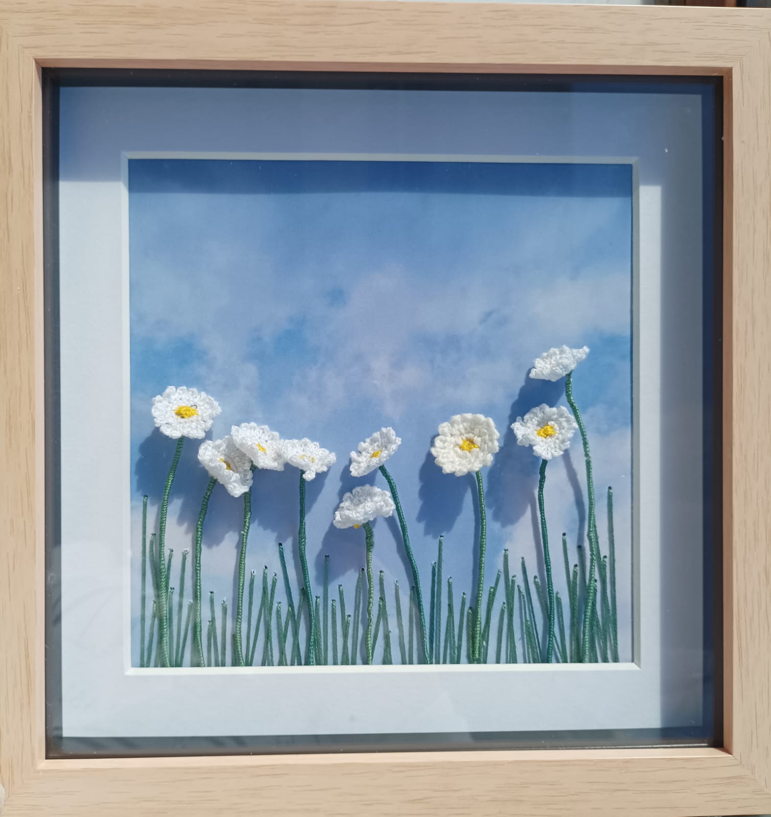 Gráinne McHugh - Spring Daisies