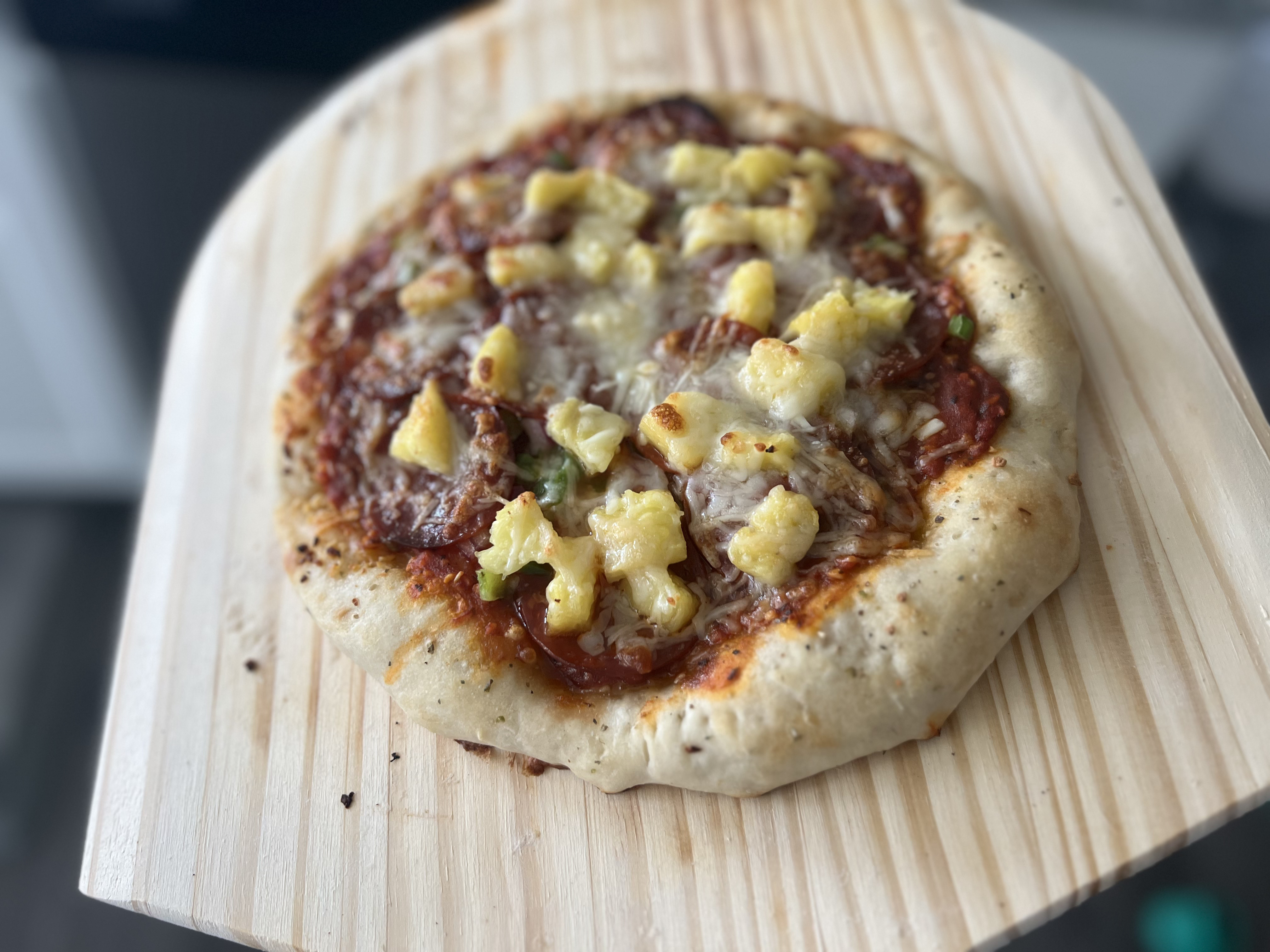 Sourdough Pizza Dough 