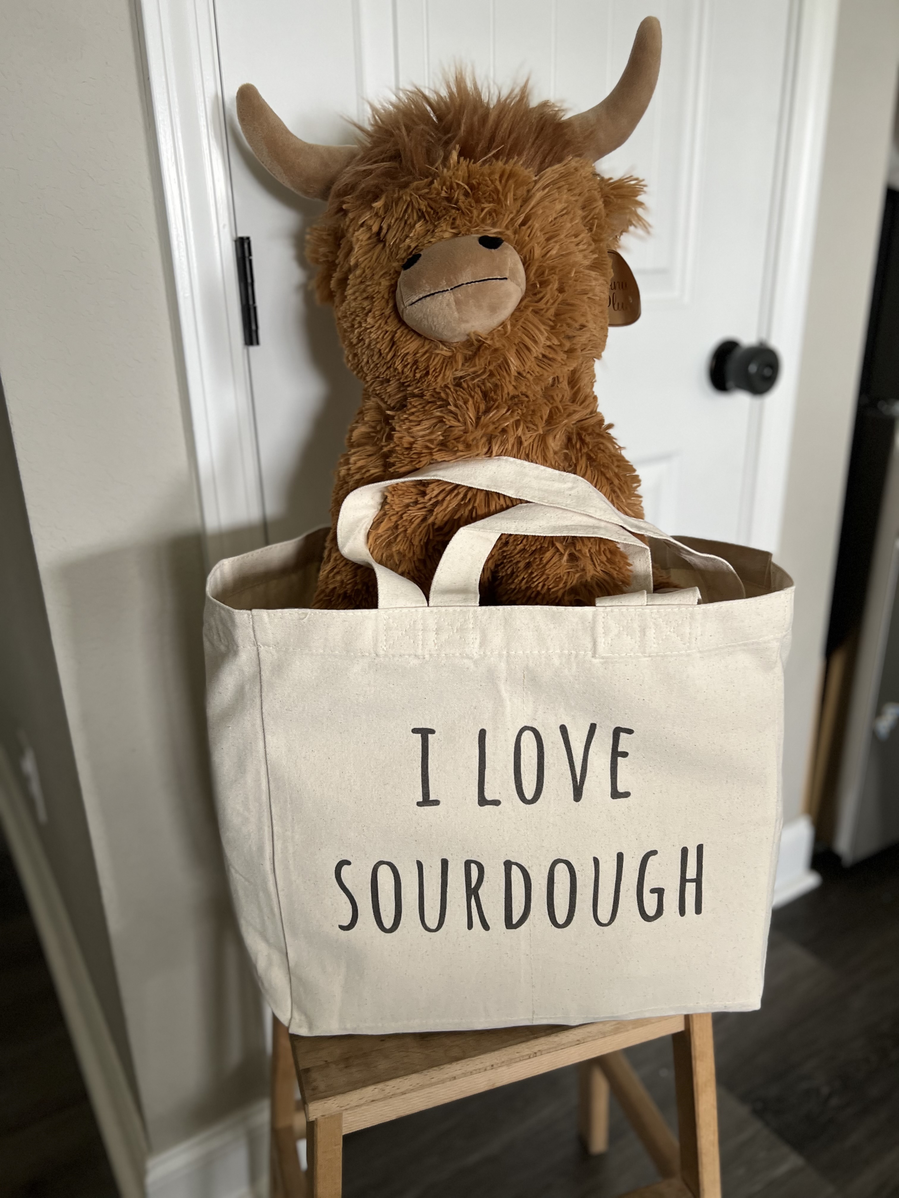 Jumbo Canvas Tote