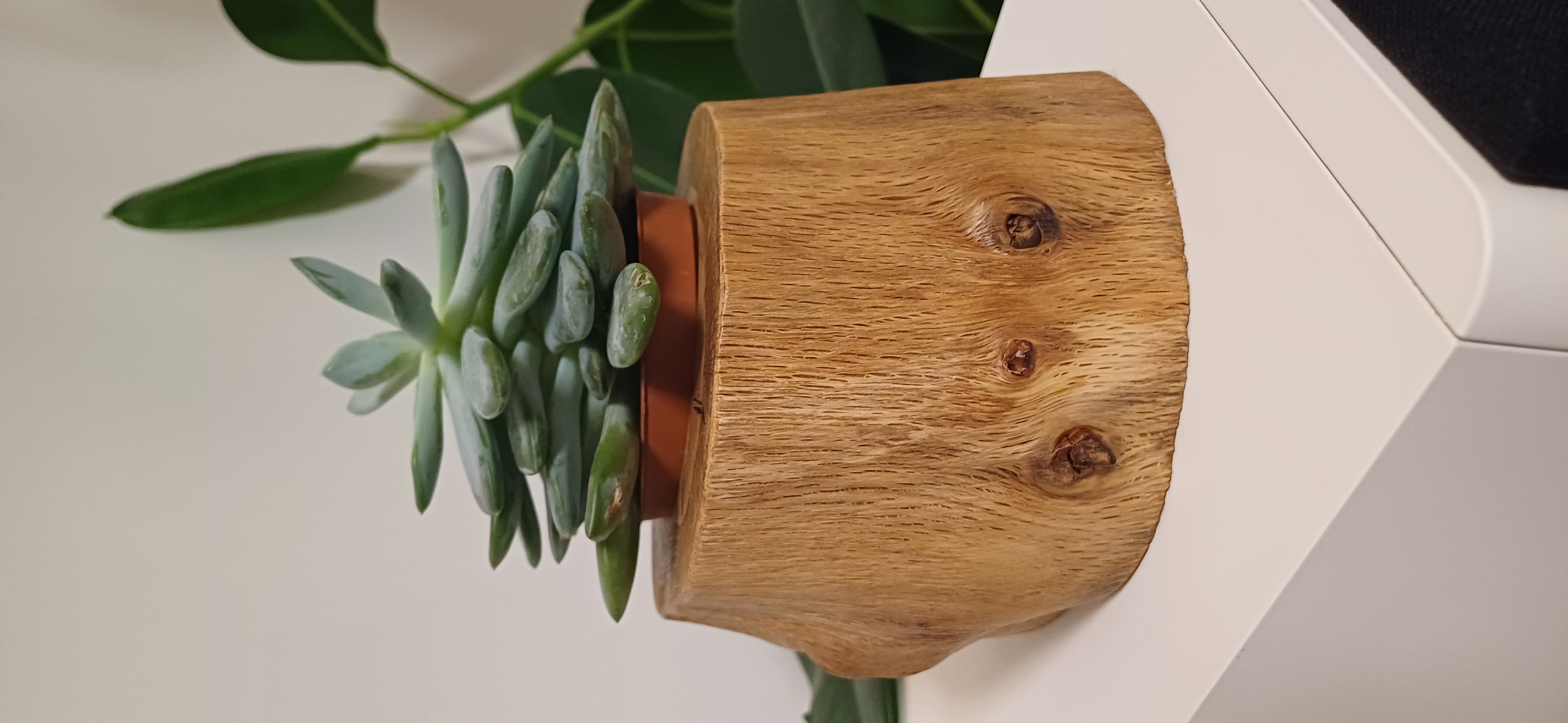 Ąžuolinis vazonėlis