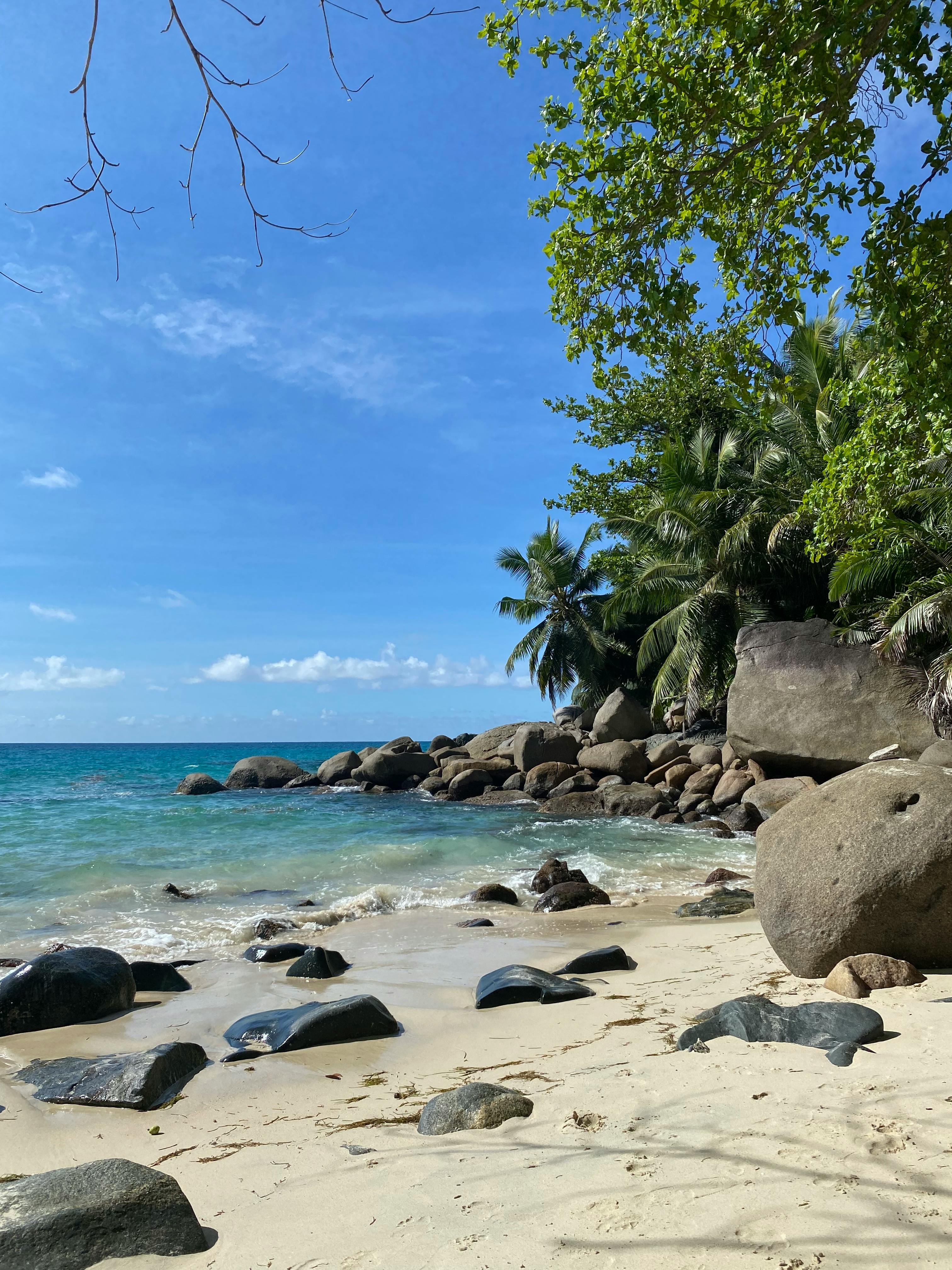 Seychelles e isola privata