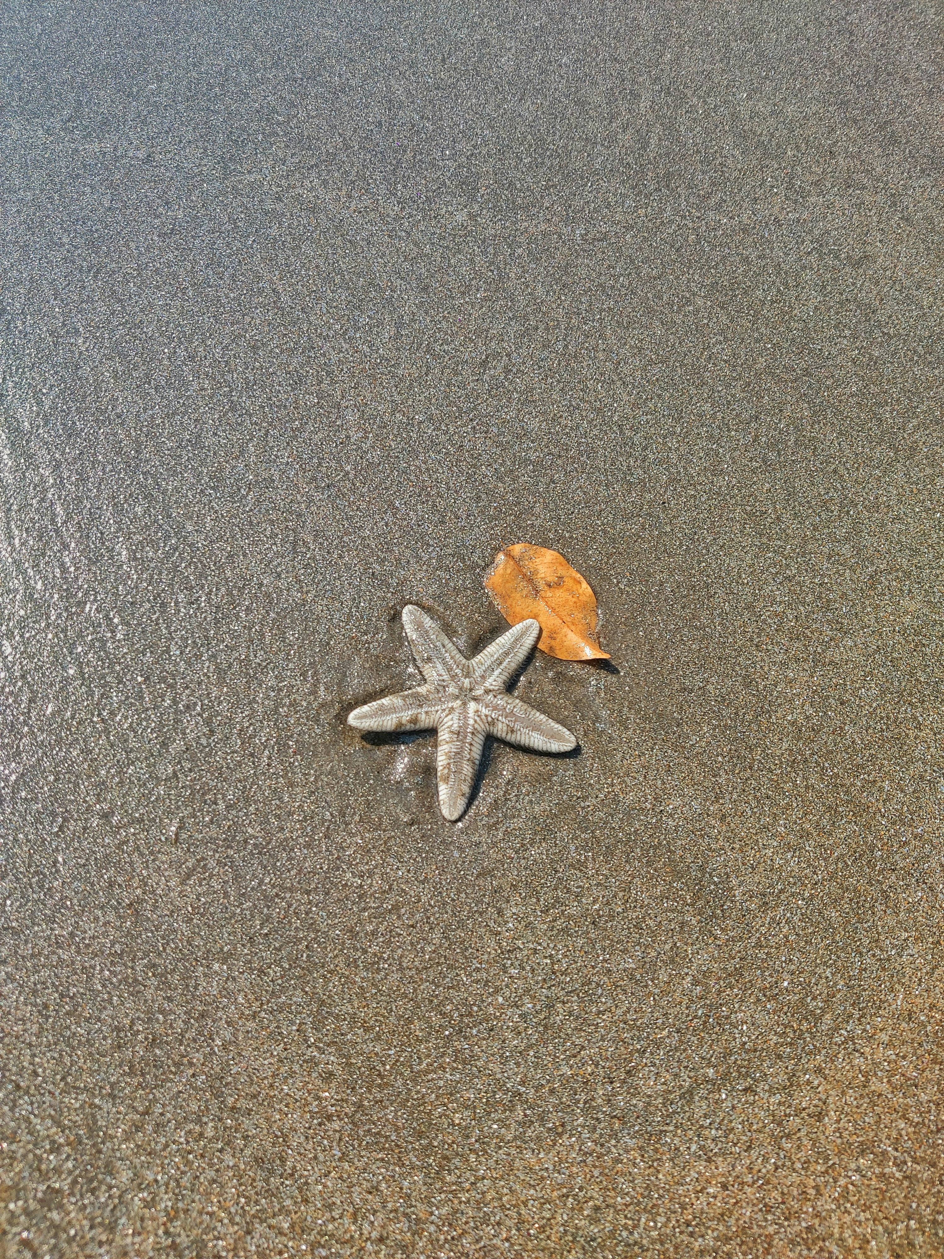 Dal fascino del Giappone alle spiagge della Thailandia