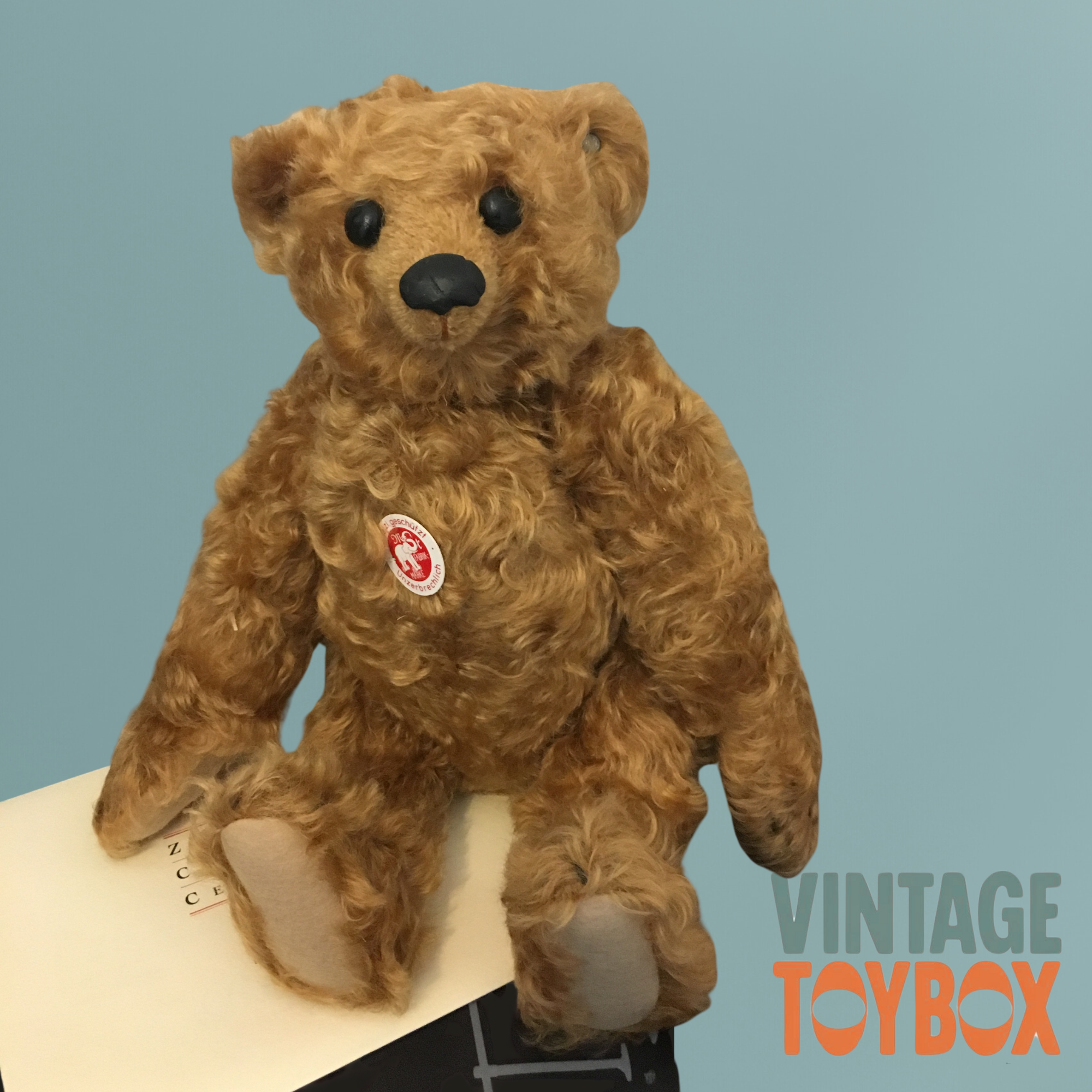 Steiff PB 28 1904 Mohair Replica Teddy Bear 2004