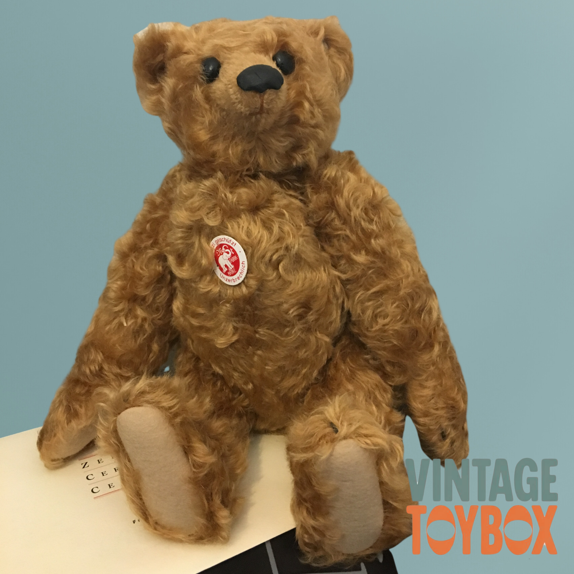 Steiff PB 28 1904 Mohair Replica Teddy Bear 2004