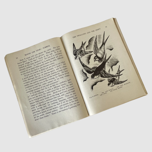 Enid Blyton Nature Books: Summertime