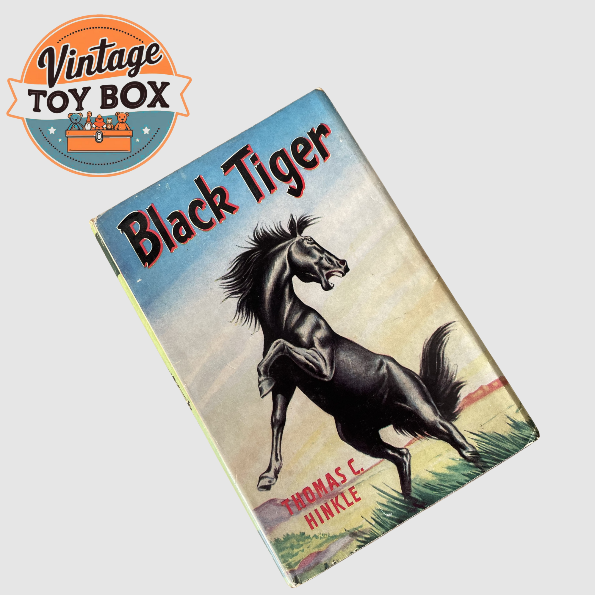 Black Tiger by Thomas C Hinkle Boys & Girls Library