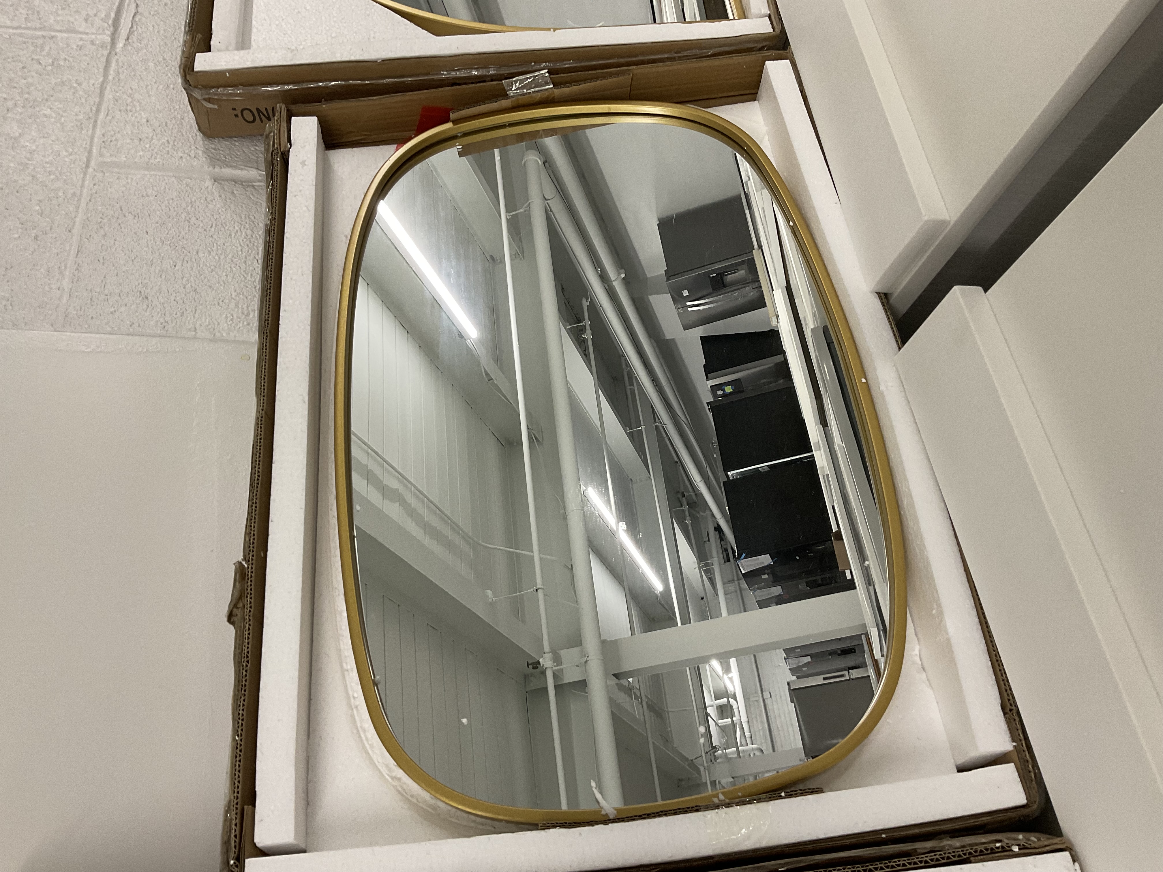 Elegant Lighting Brynn 20" W x 30" H Modern Oval Bathroom Wall Mirror