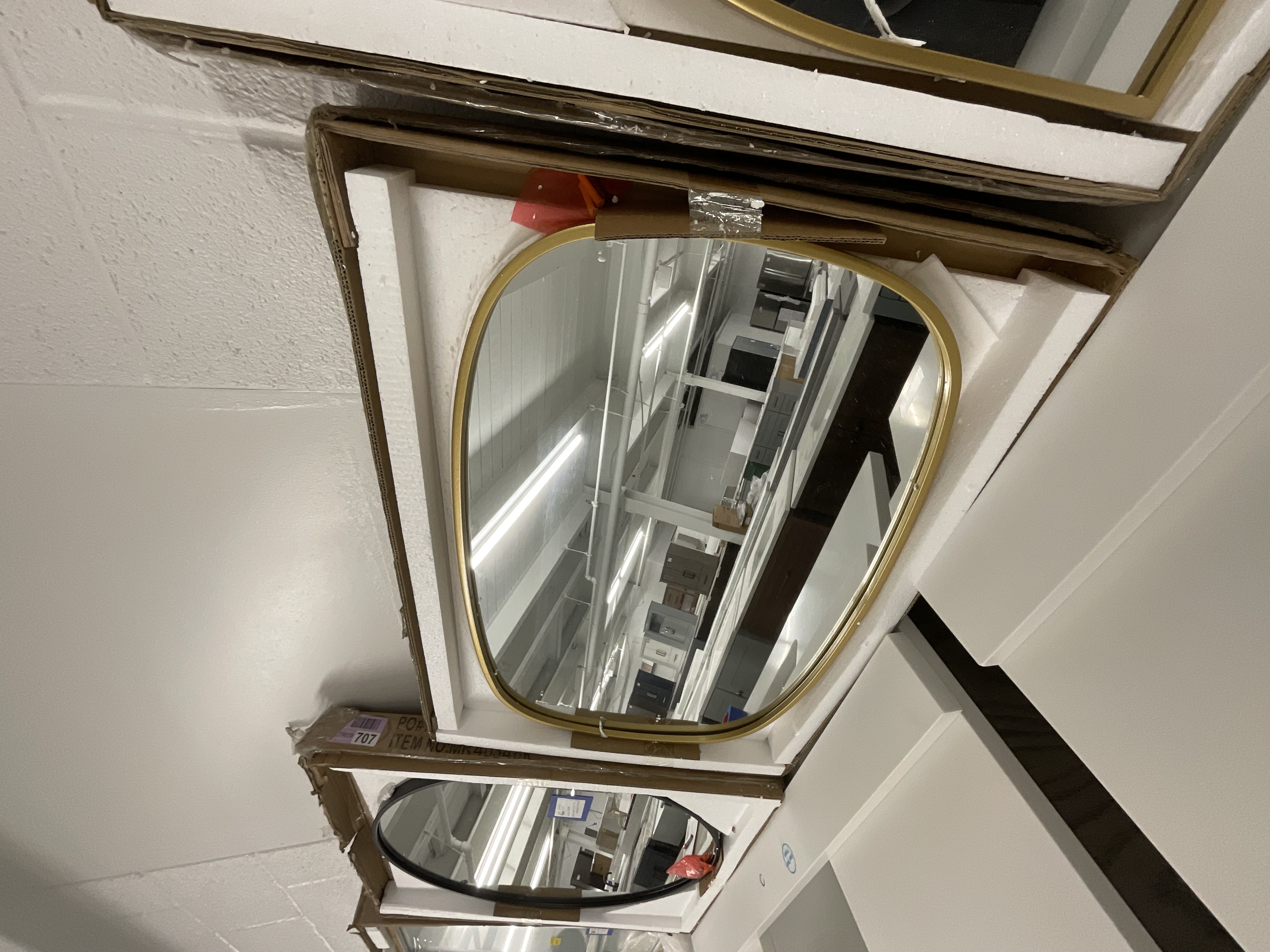 Elegant Lighting Brynn 20" W x 30" H Modern Oval Bathroom Wall Mirror