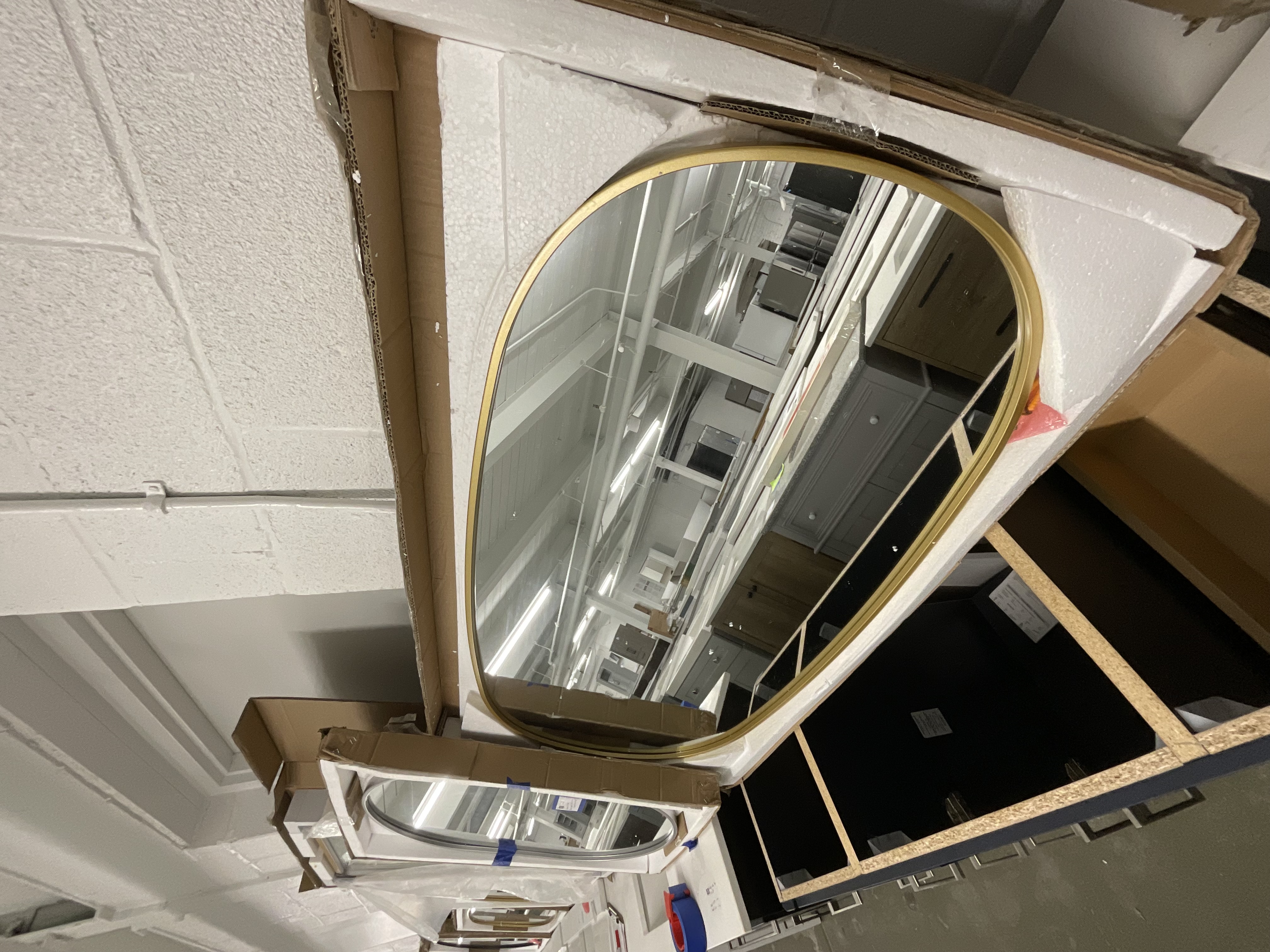 Elegant Lighting Brynn 24" W x 48" H Oval Framed Bathroom Mirror