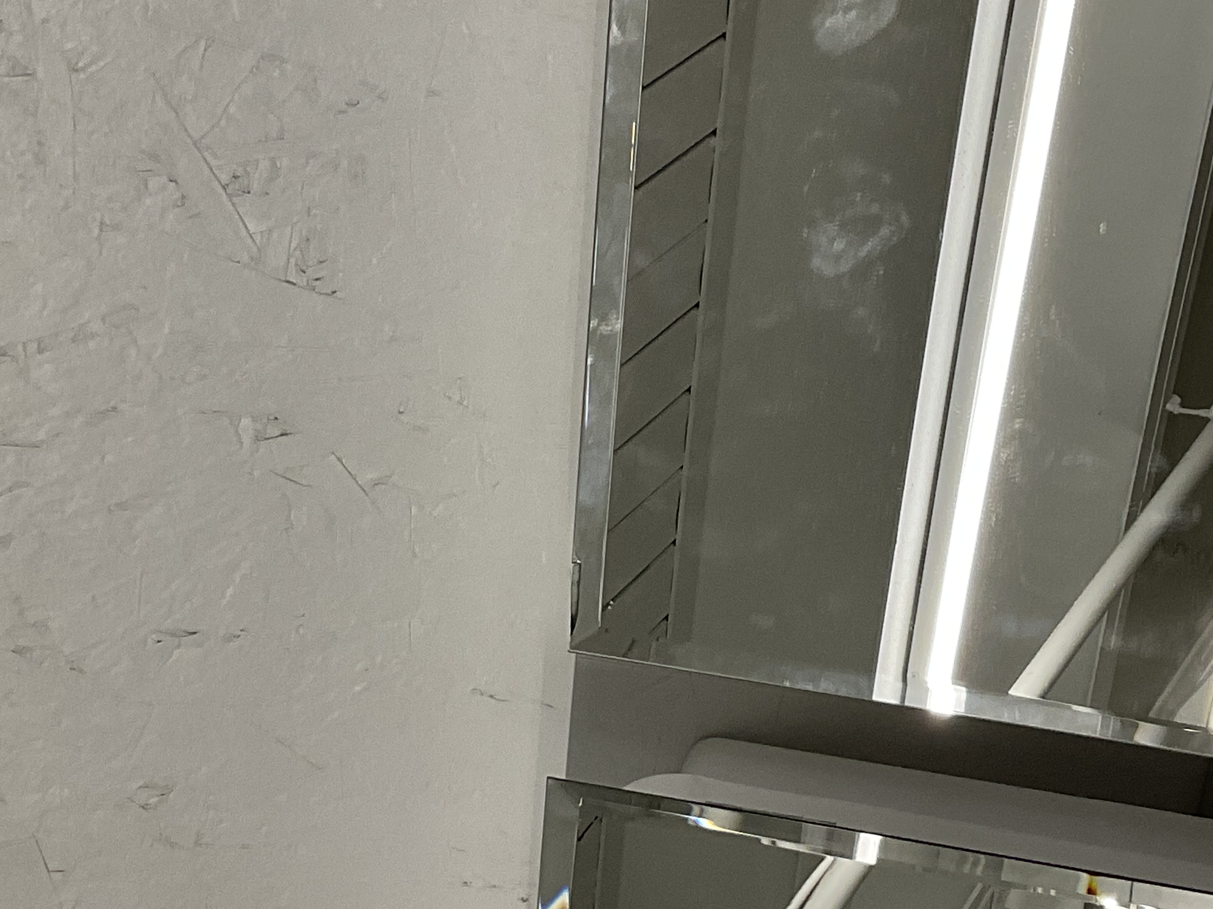 Mirror 202509109