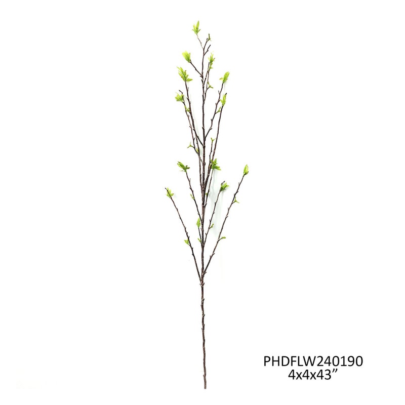 Budding Willow Branch