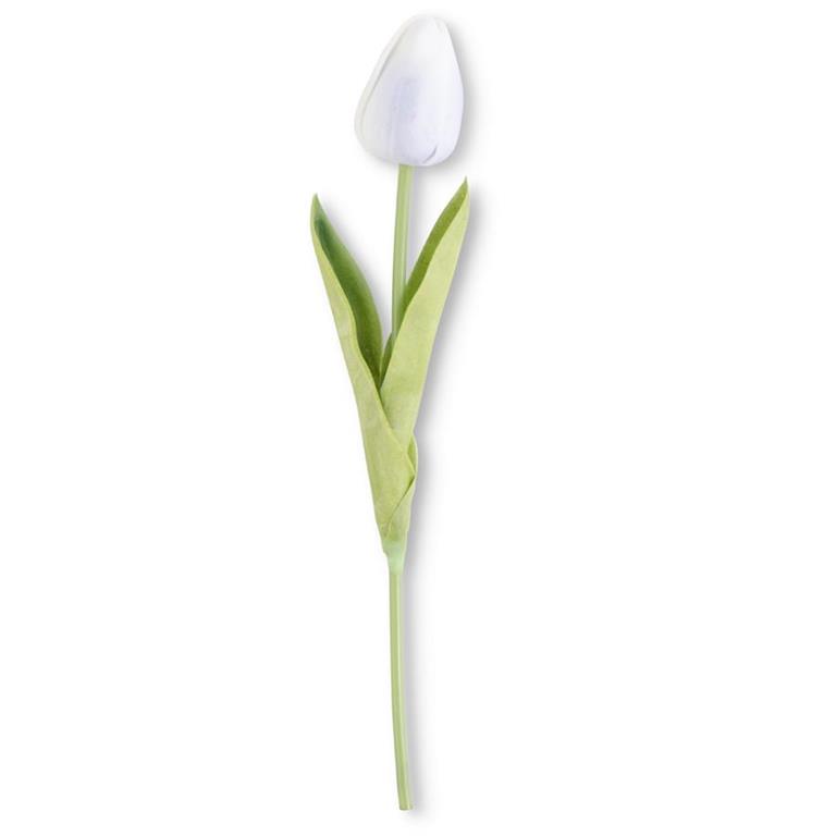 Off White Blue Tulip