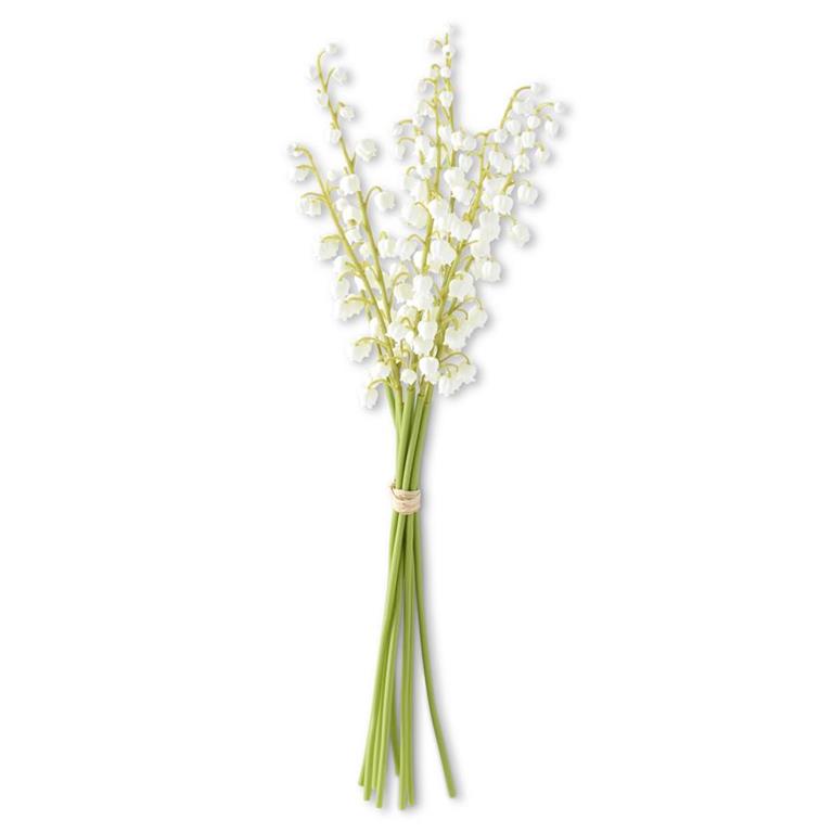 Lily of The Valley
