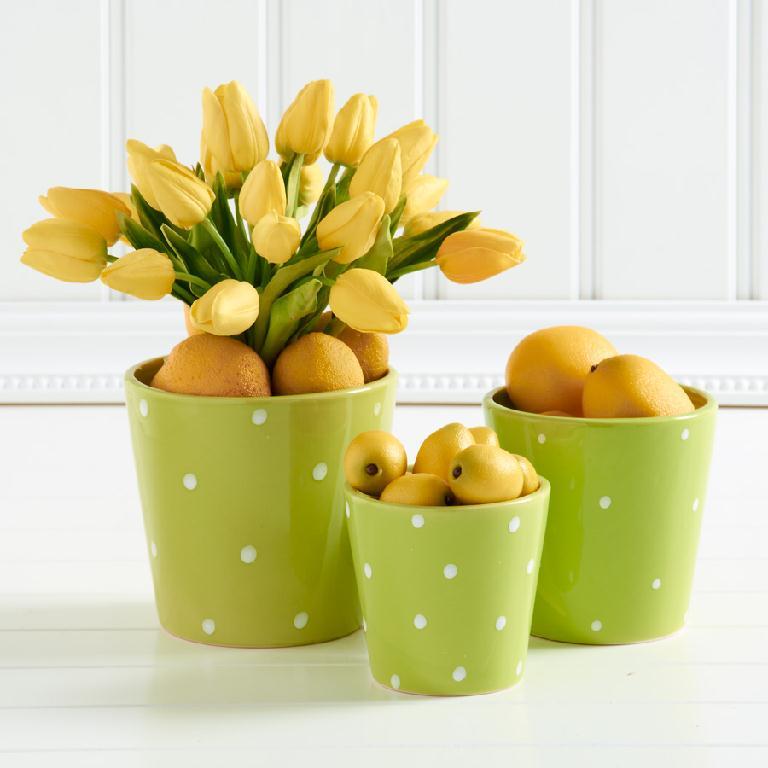 Yellow Mini Tulip Stem