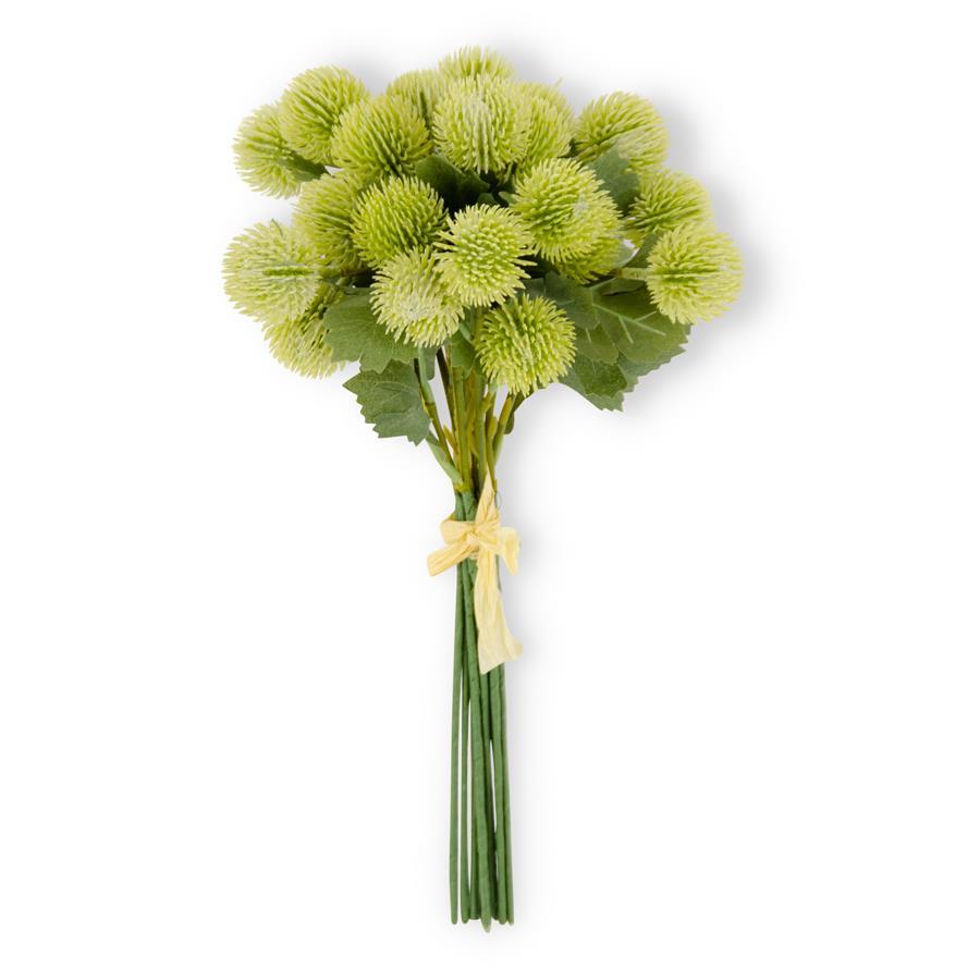 Light Green Sycamore Fruit Ball