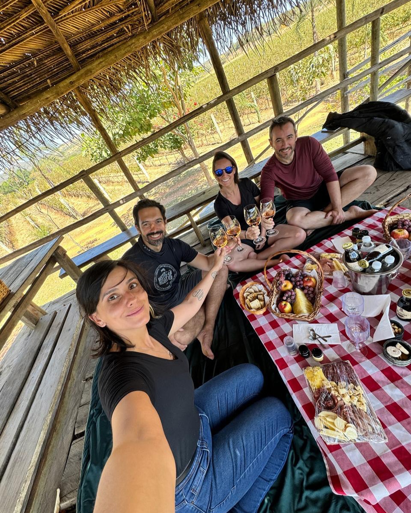Pic Nic Vinicola Assunção 