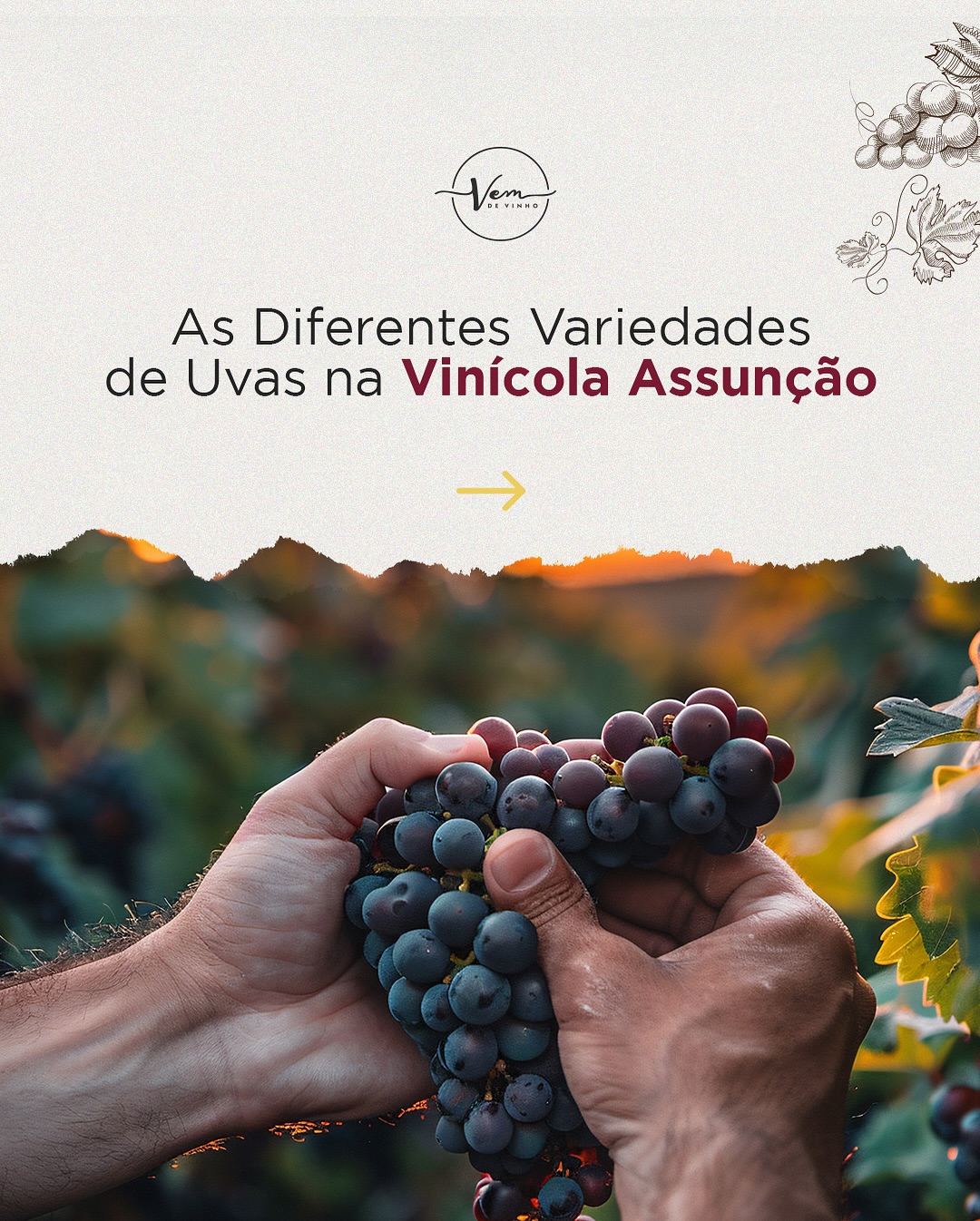 Pic Nic Vinicola Assunção 
