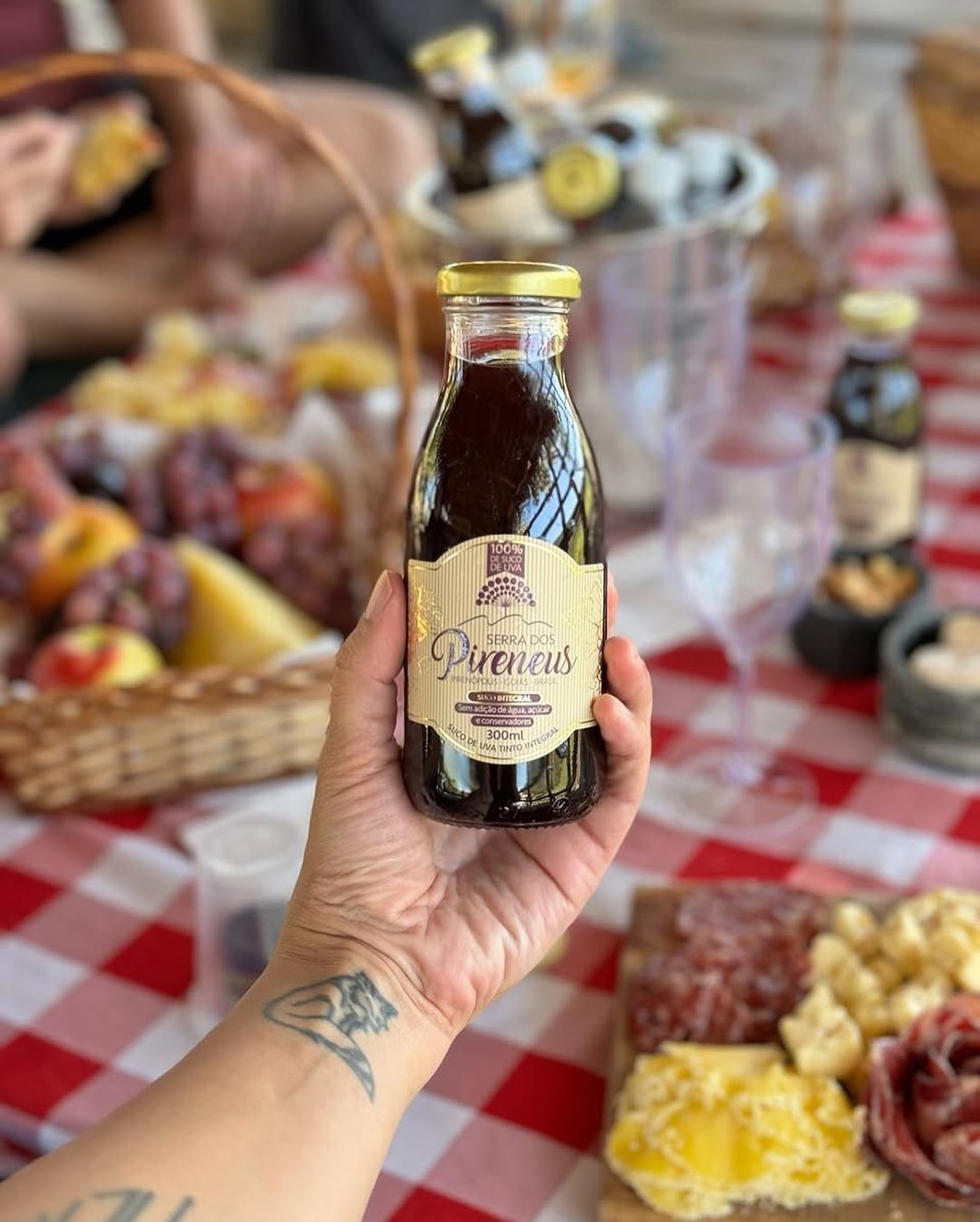 Pic Nic na  Vinicola Assunção 