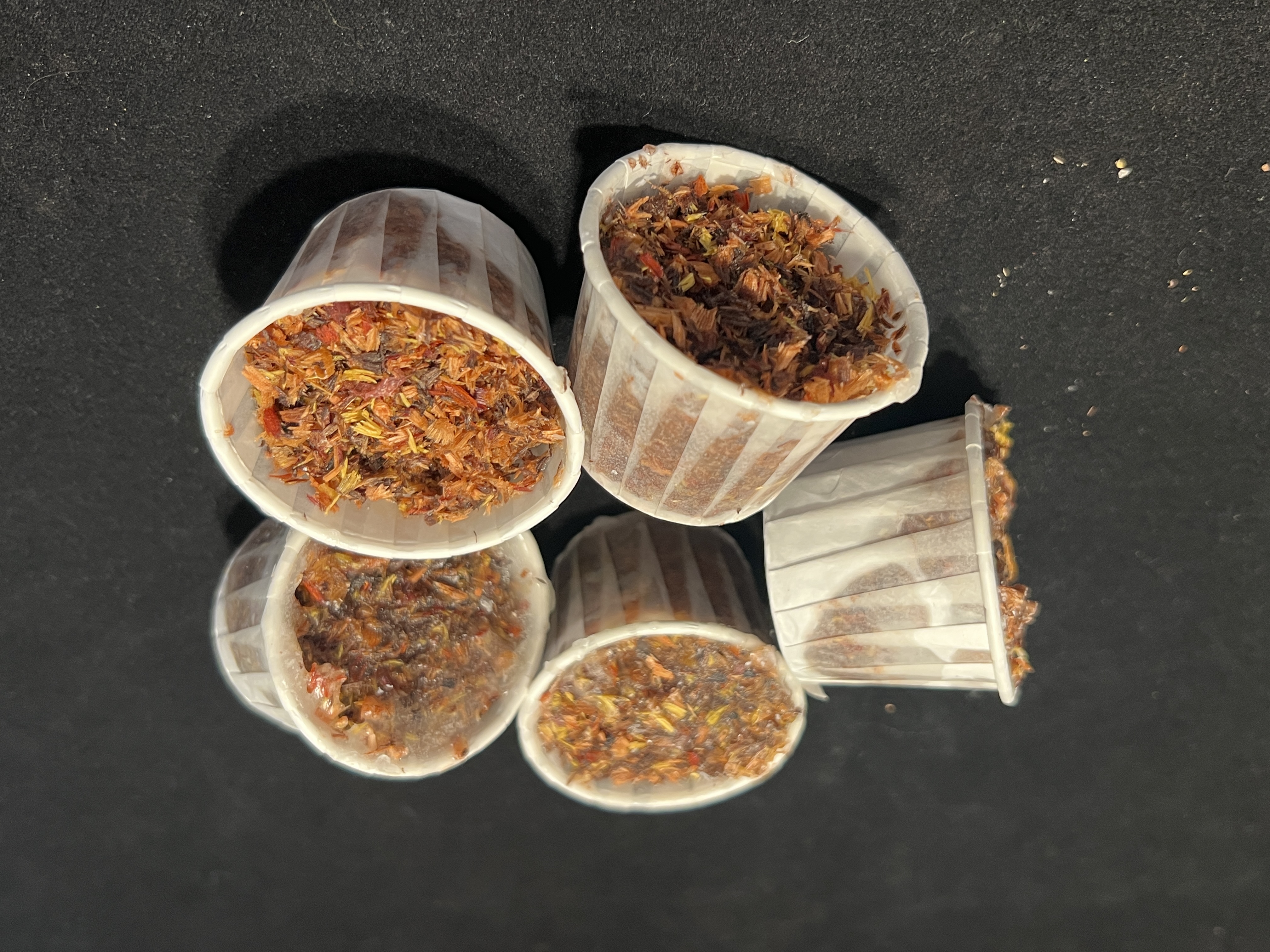 2oz Fire Starter (Qty 5)