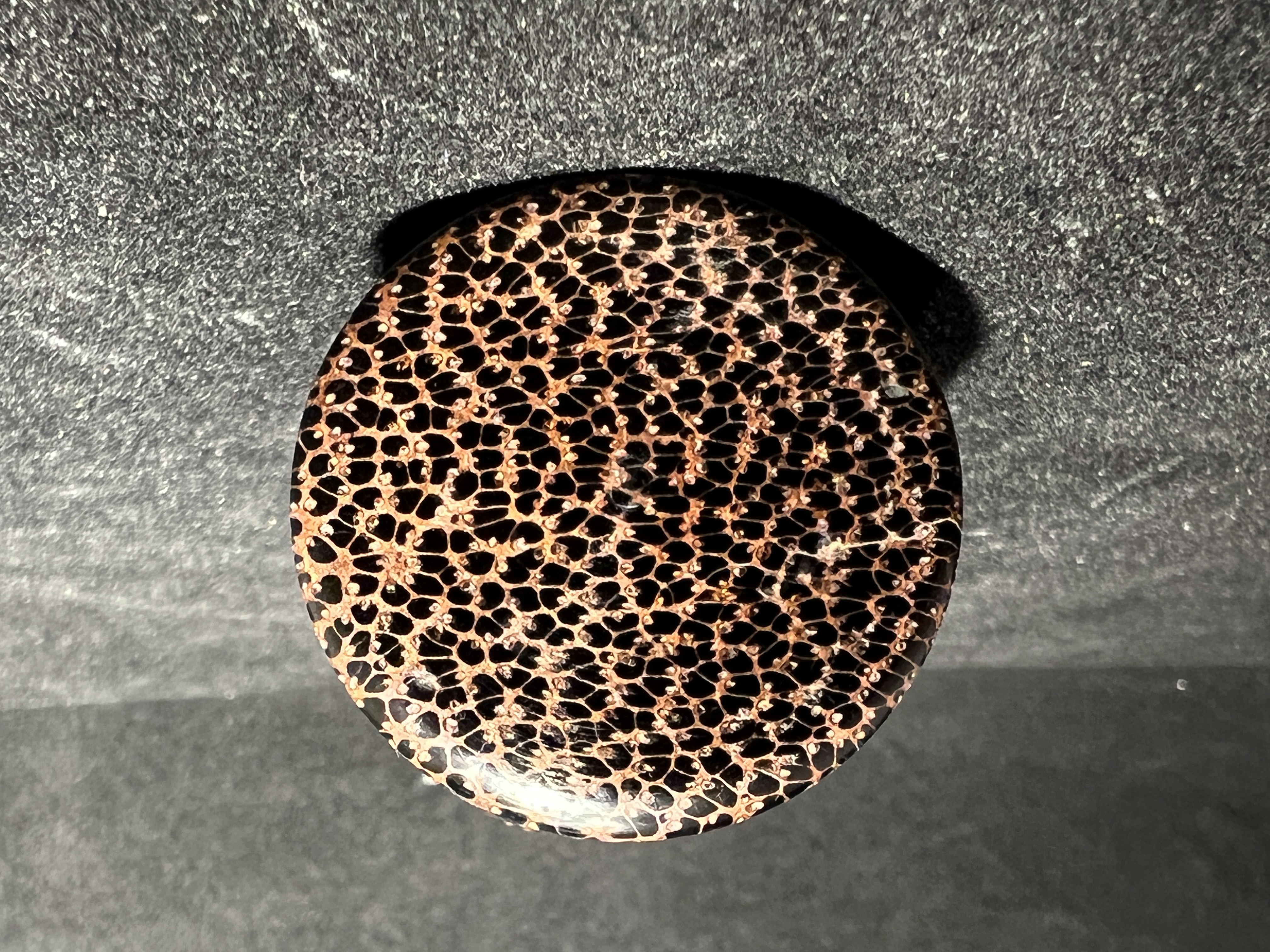 Black Palm Bottle Opener