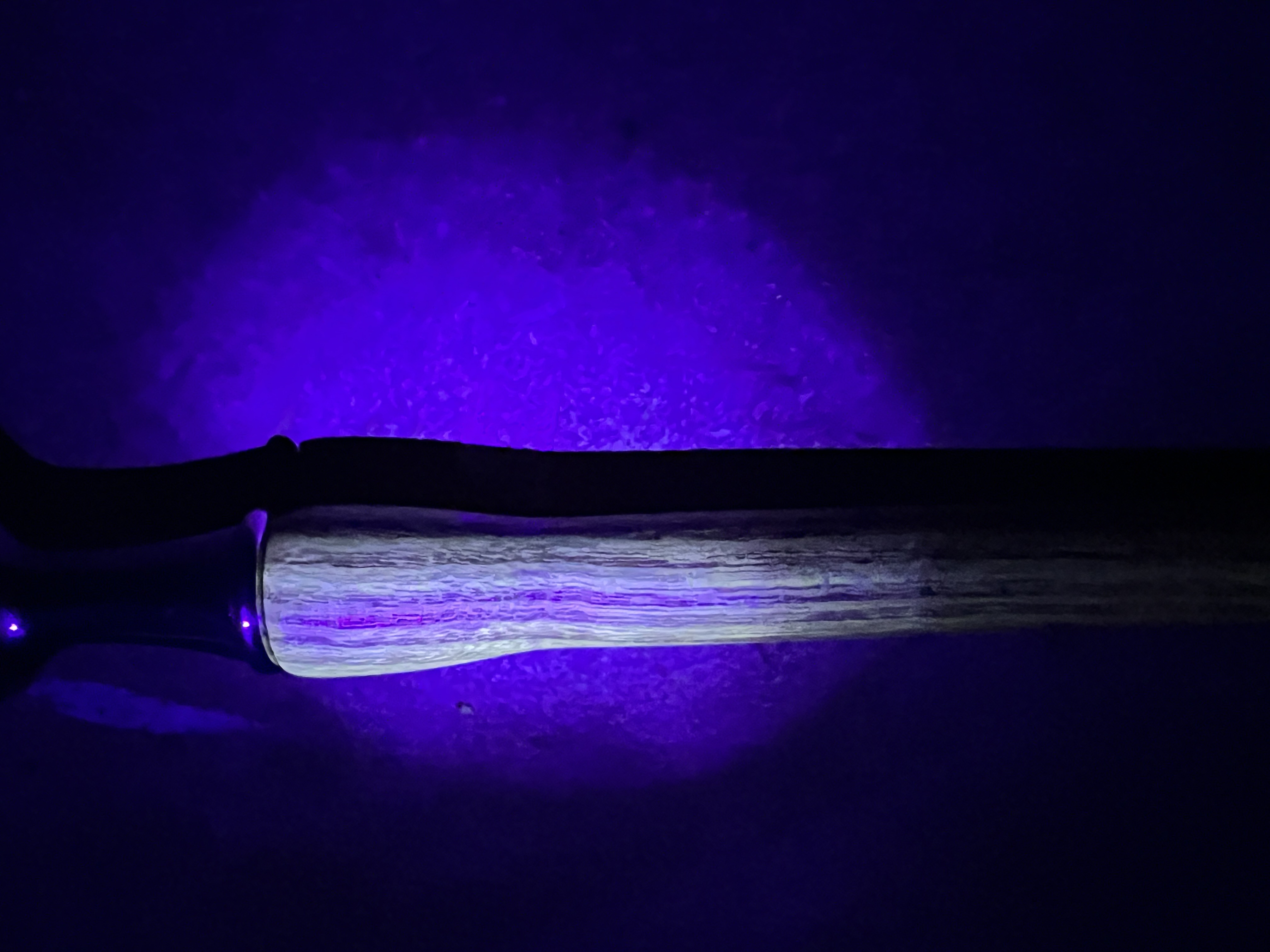 Honey Locust Coffee Scoop