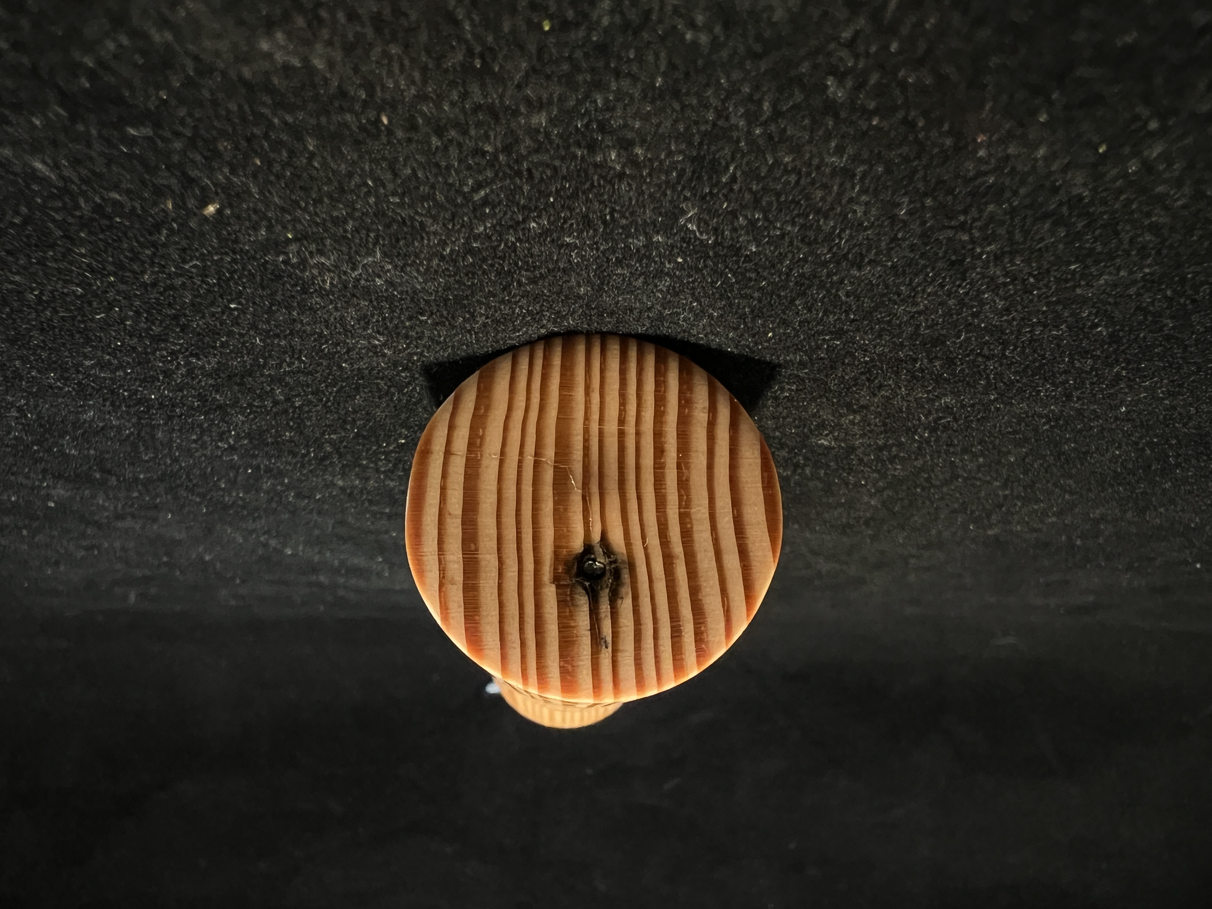 Old-Growth Fir Bottle Opener