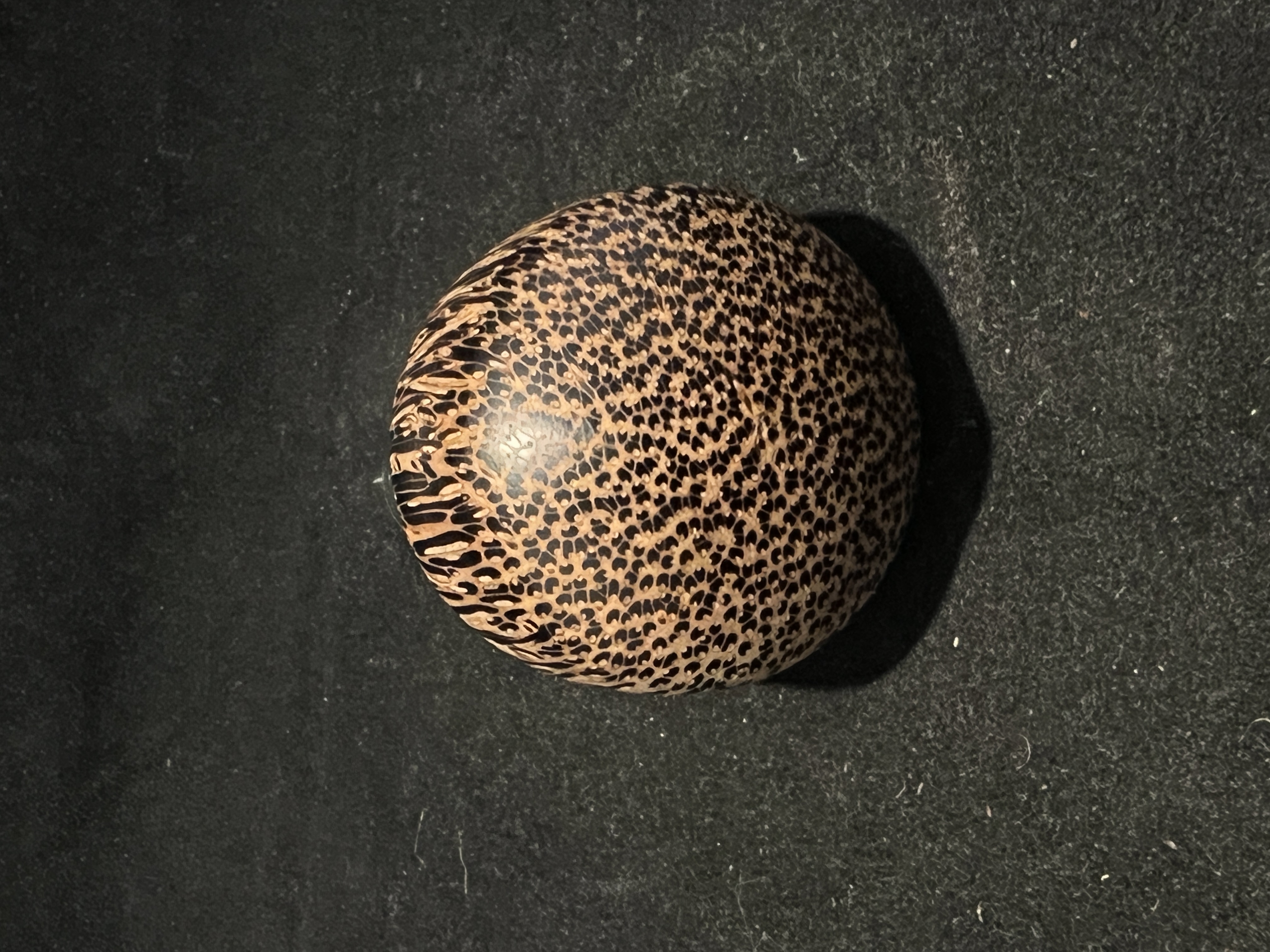 Black Palm Bottle Stopper