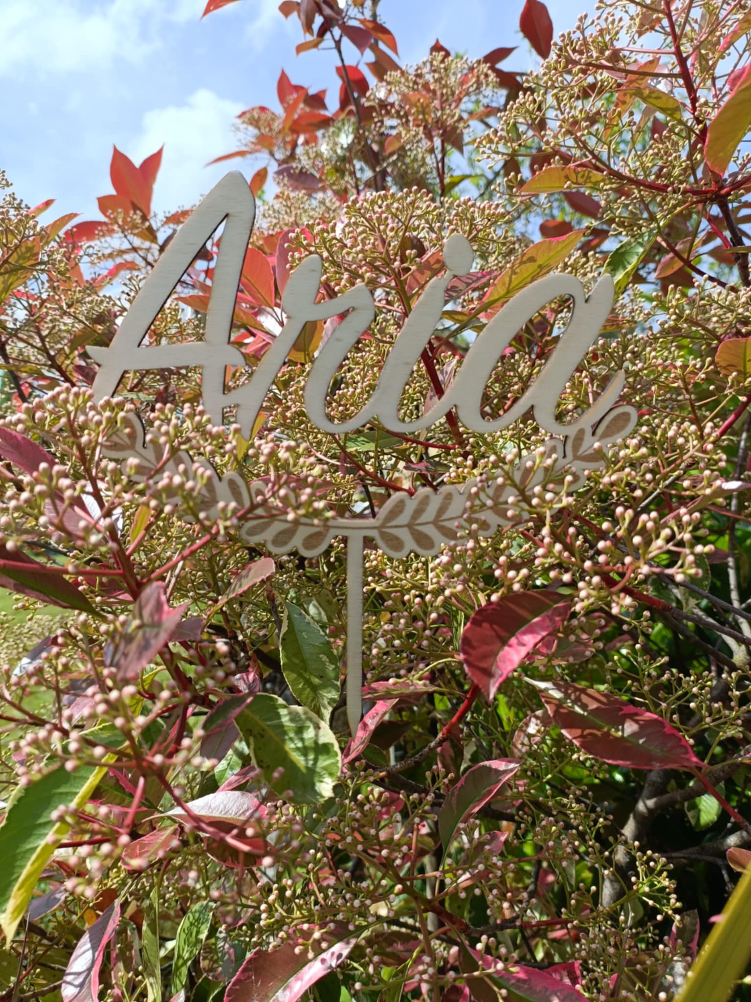 Cake Topper en Bois Personnalisé