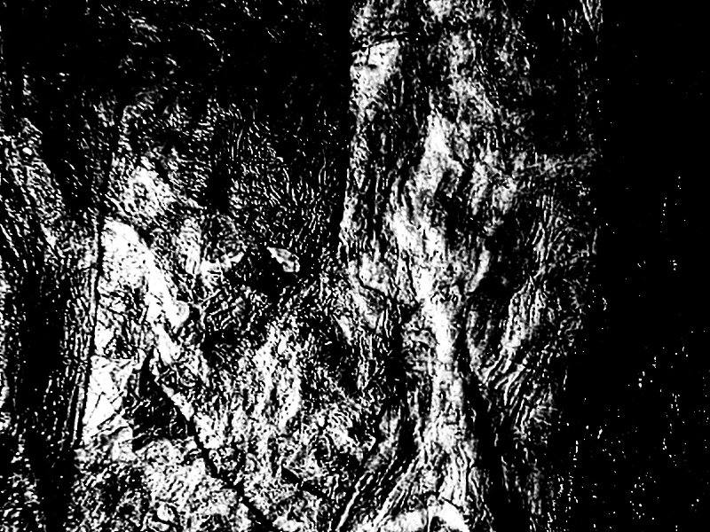 Recycle plastic texture photo stock,Plastic texture collage,Texture art recycle plastic,Dark texture image,Texture background,Recycle plastic background,Recycle plastic wallpaper,Texture plastic wallpaper 