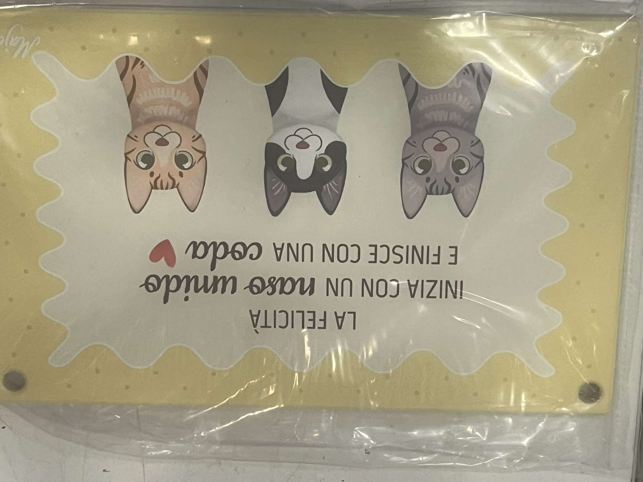 Cat-Inspired Wall Art