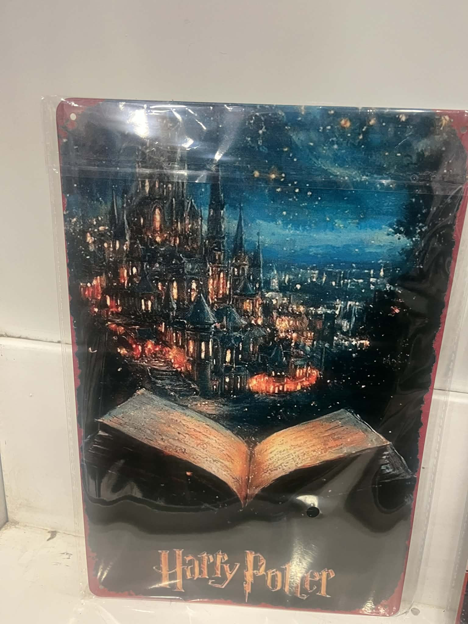 Harry Potter decorative placca