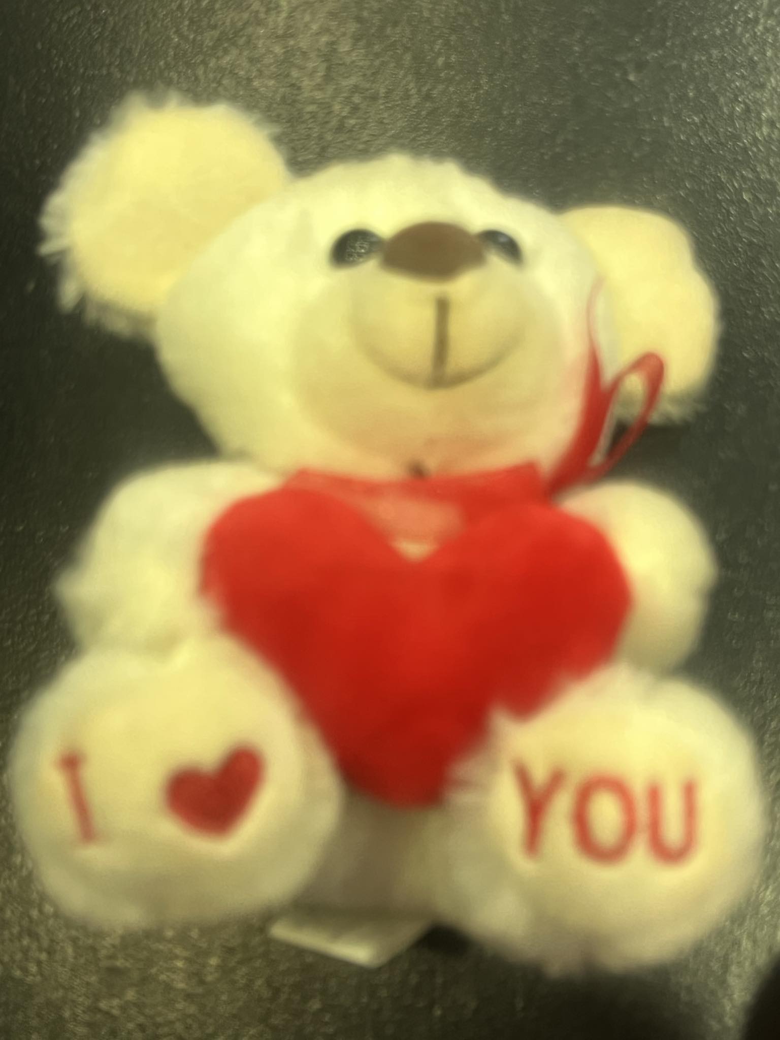 Orsetto con cuore rosso