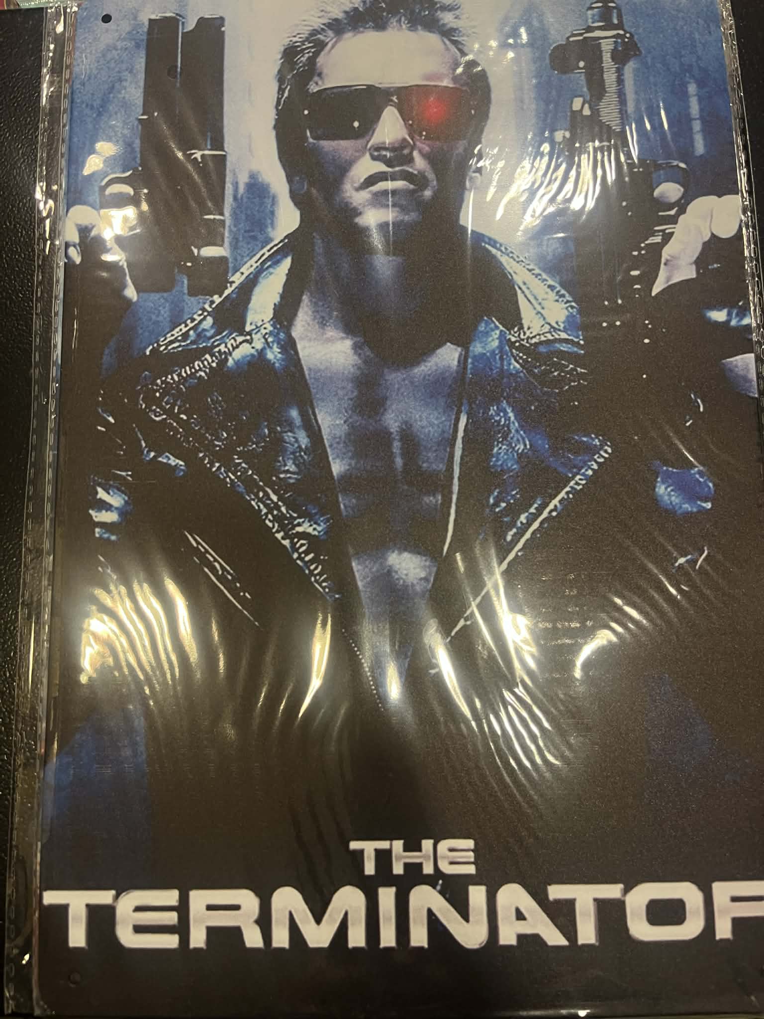 The Terminator Metal Poster placca