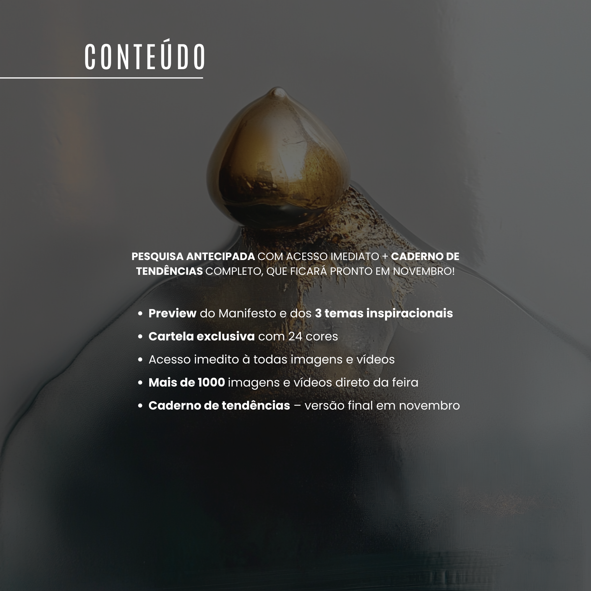 Pesquisa antecipada + Caderno de tendências Première Vision Paris 