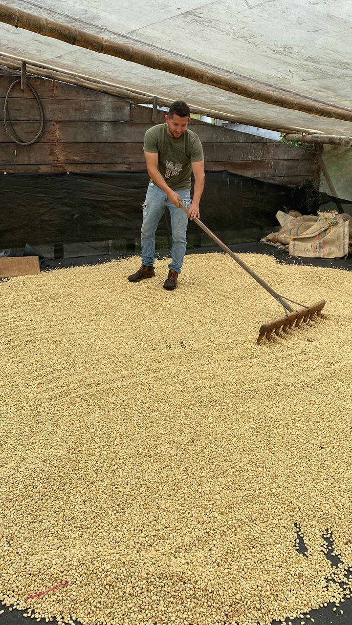 Gasca Geisha - 96h washed - Espresso