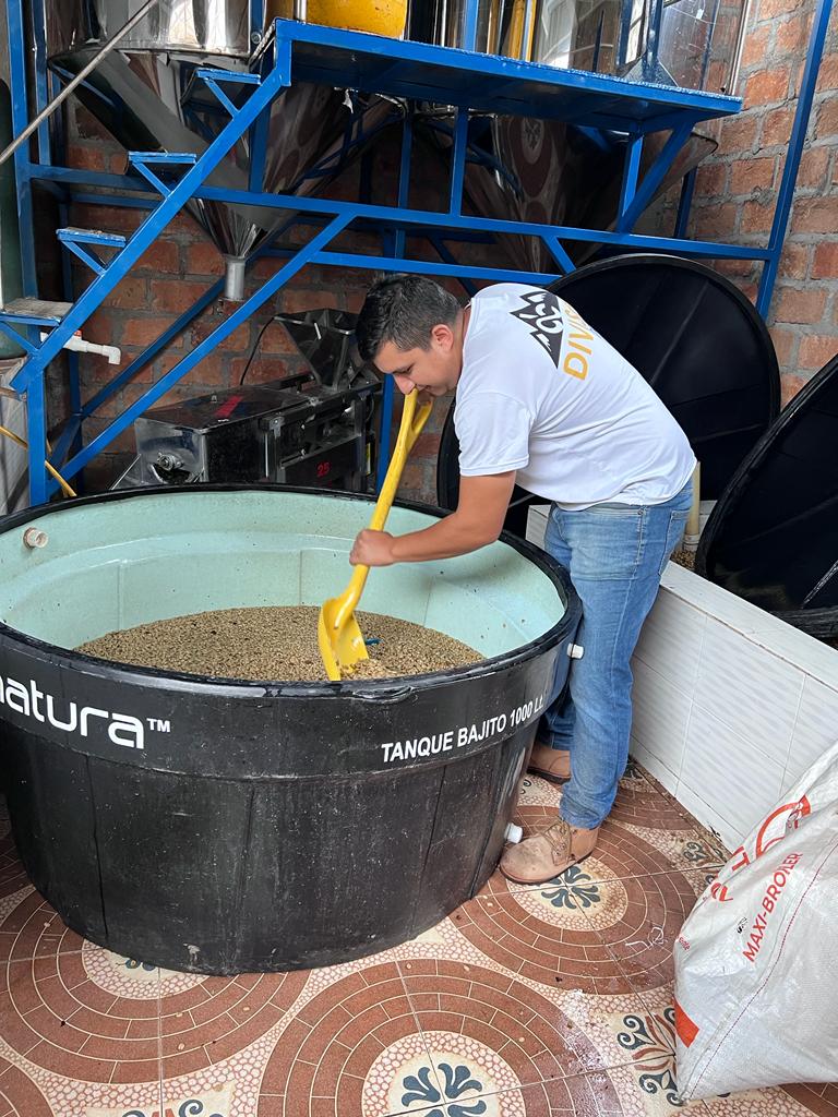 El Diviso - Sidra - 84h Washed