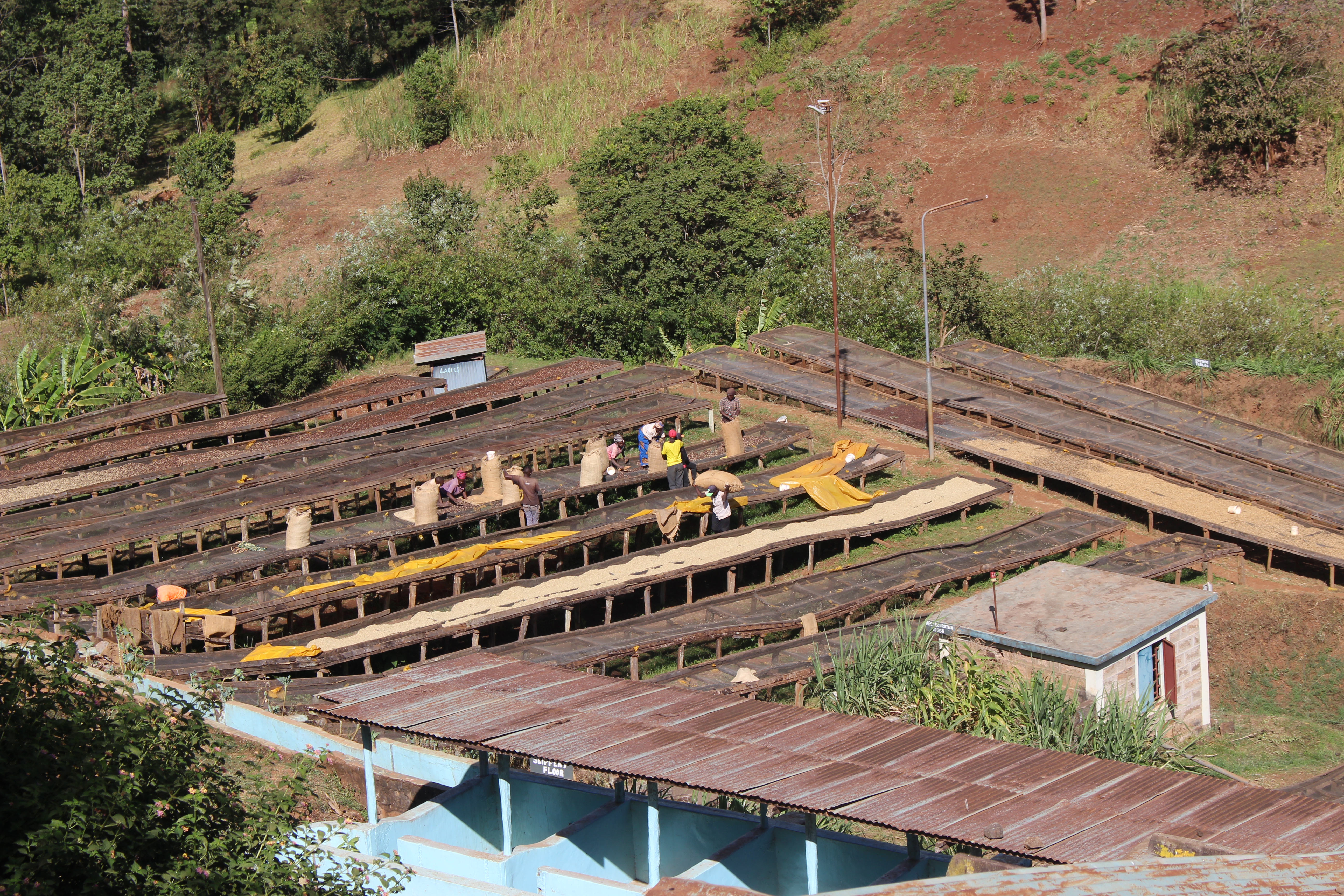 Nyeri Hills Estate AB