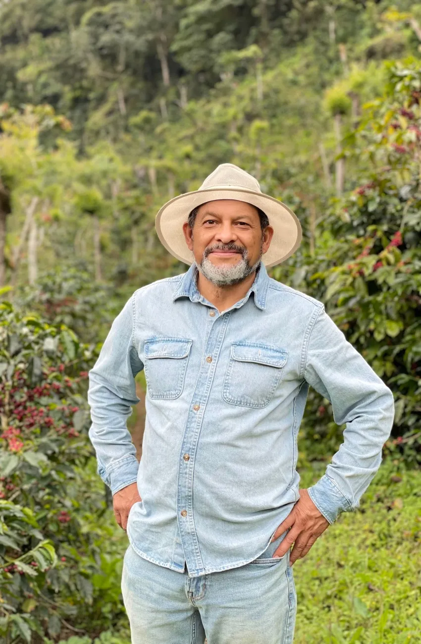 Los Arroyos - San Ramón - Washed