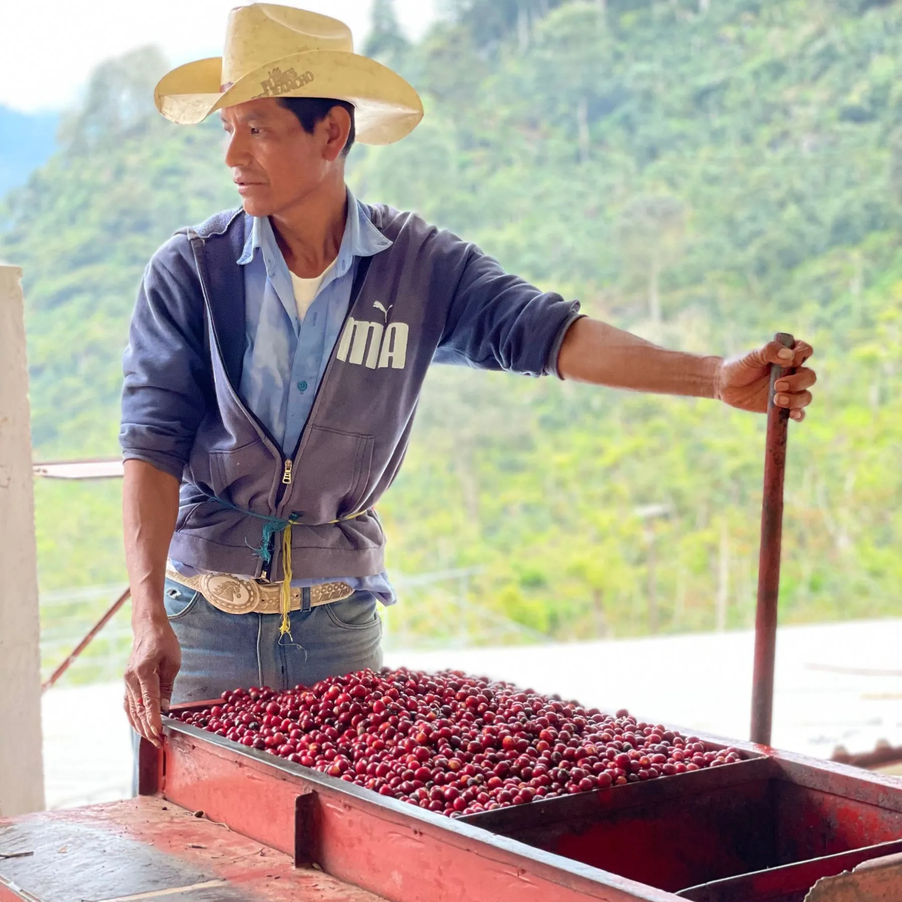 Los Arroyos - San Ramón - Washed