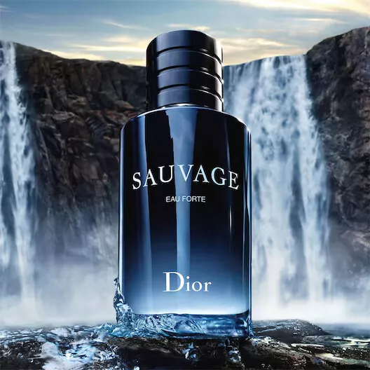 Dior Sauvage Eau de Toilette