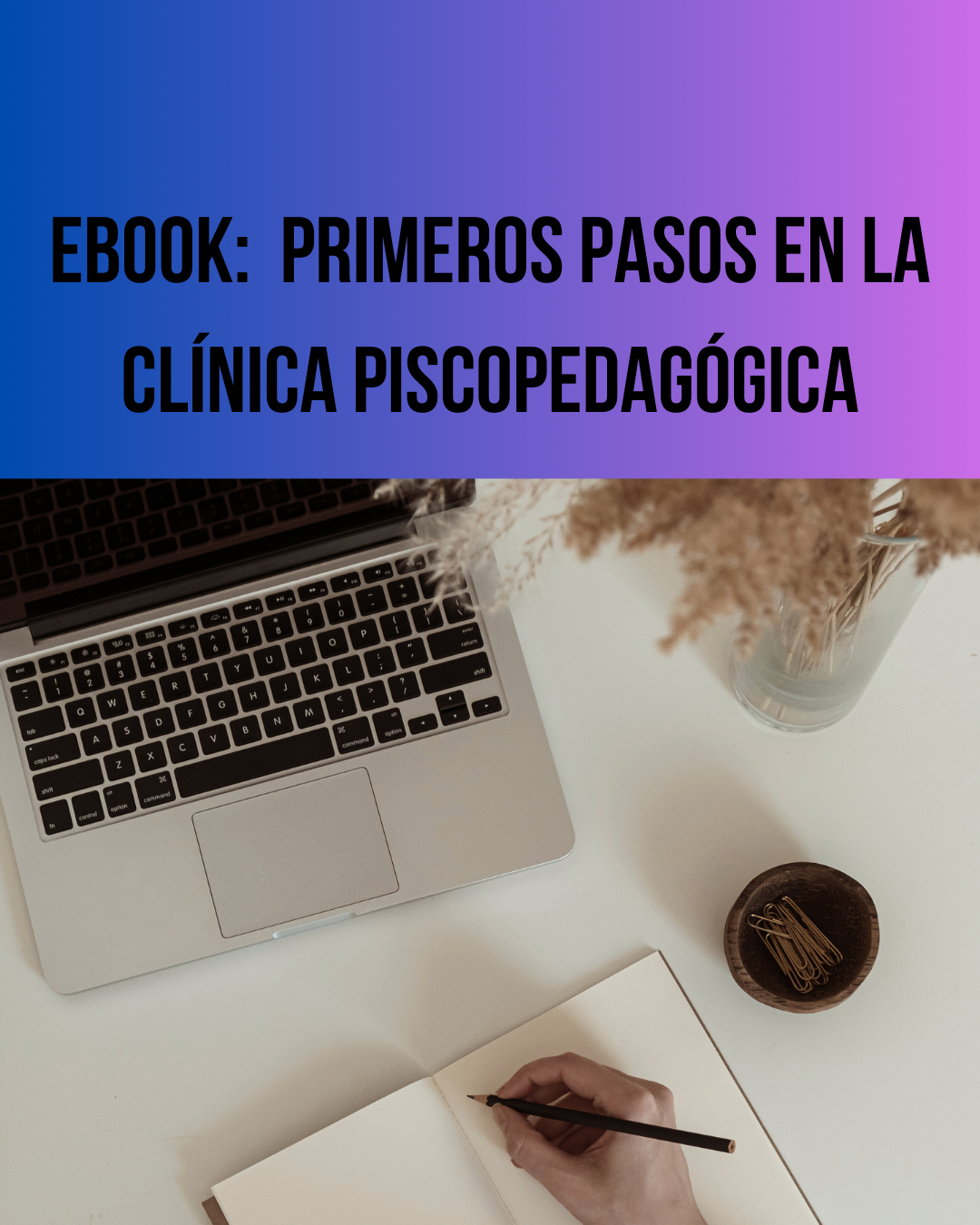 E-book : para dar los primeros pasos en la Clínica Piscopedagógica. 