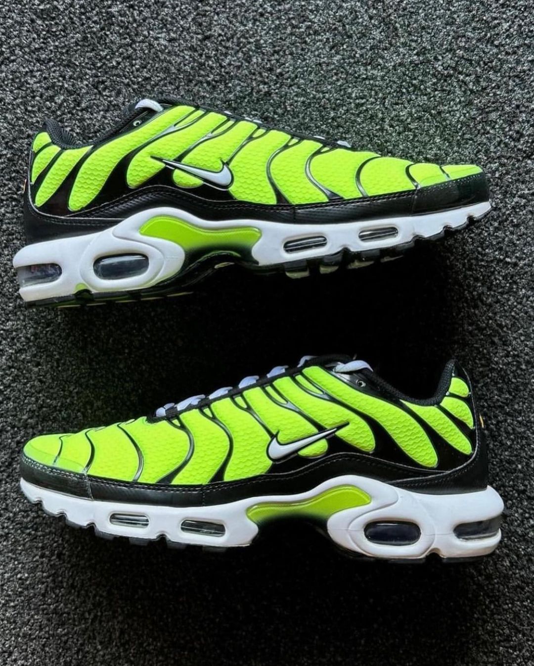 Nike Air Max Plus Sneakers